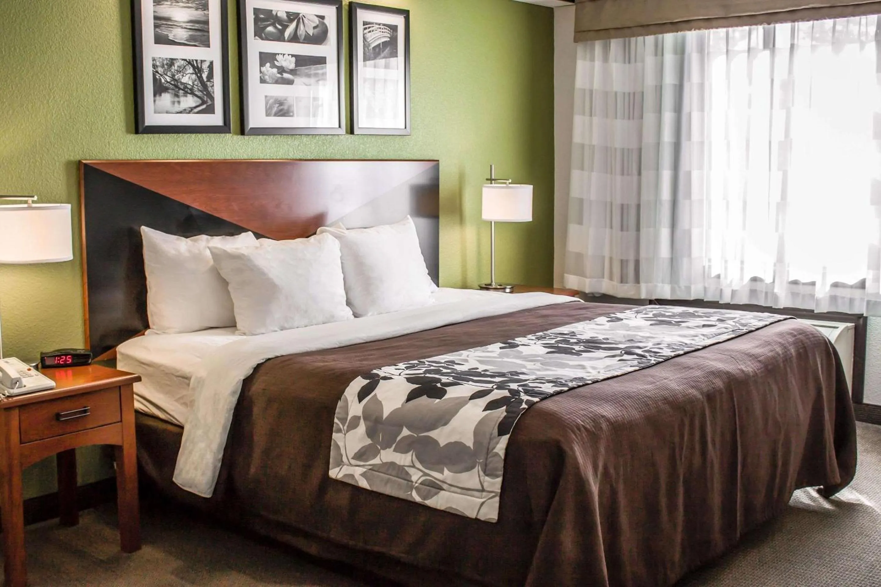 King Room - Non-Smoking in Sleep Inn Beaver- Beckley