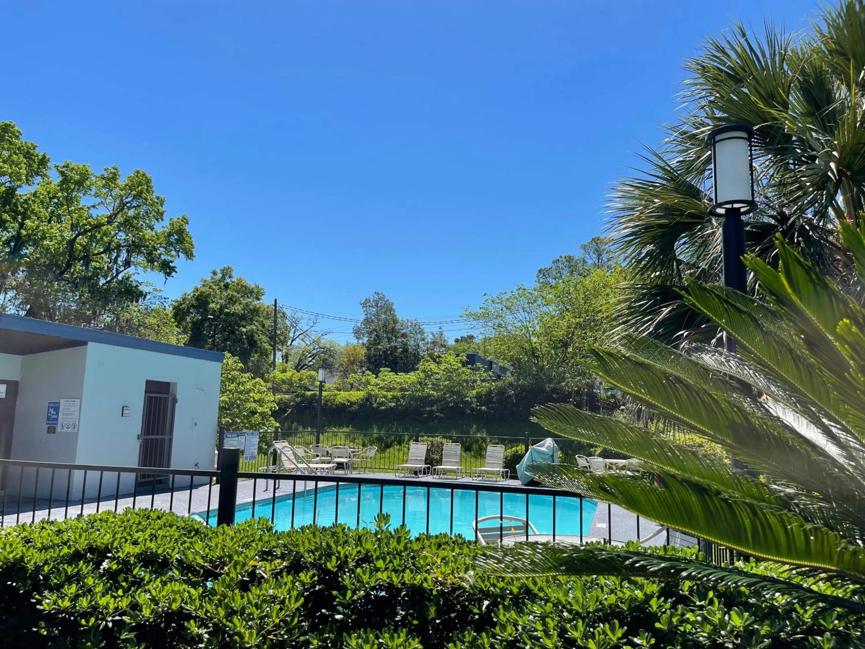 Swimming pool in Best Western Tallahassee Downtown Inn and Suites