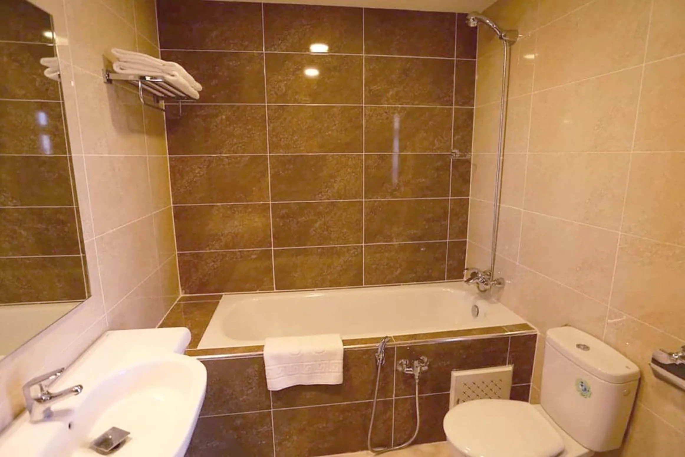 Shower in Le Zenith Hotel Oran