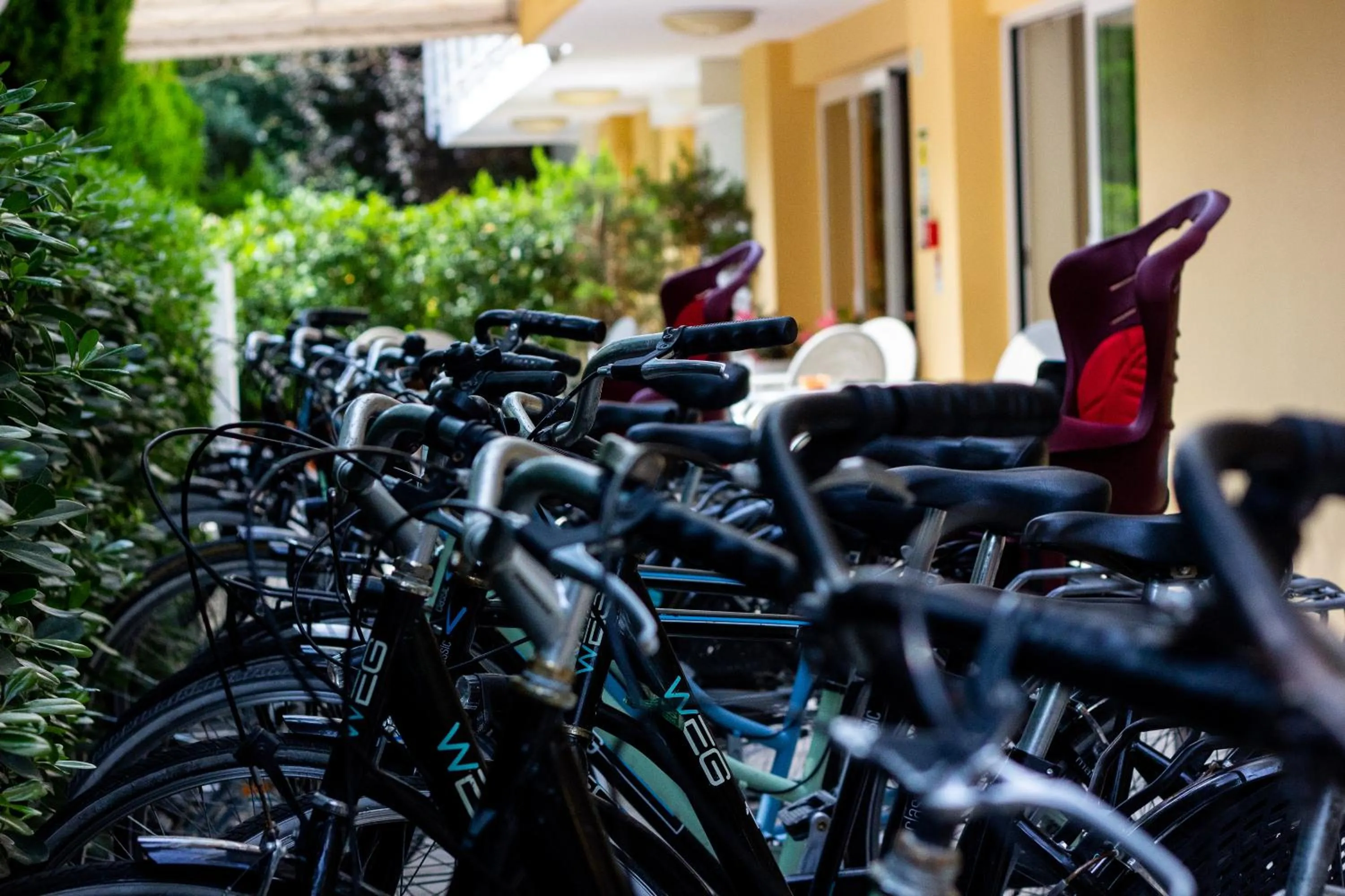 Cycling in Hotel Bahama