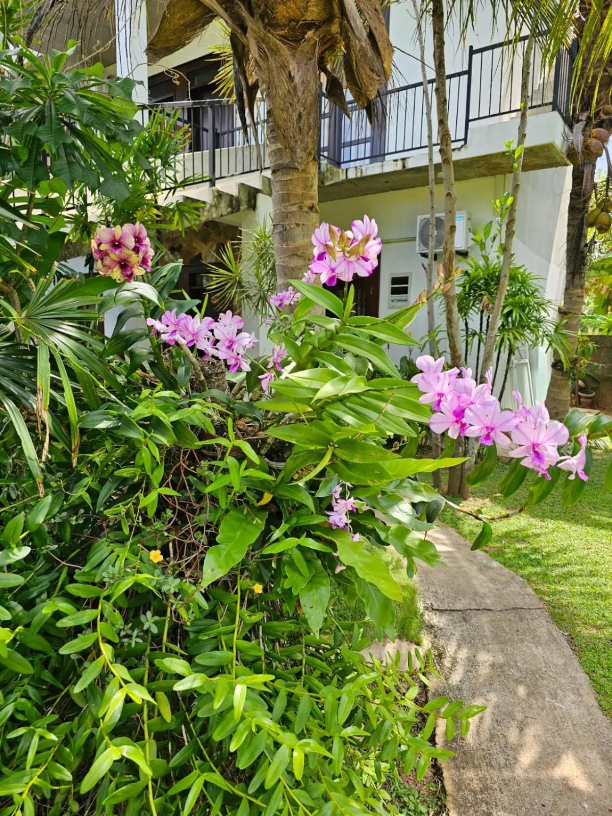 Garden in Optimum Residencies