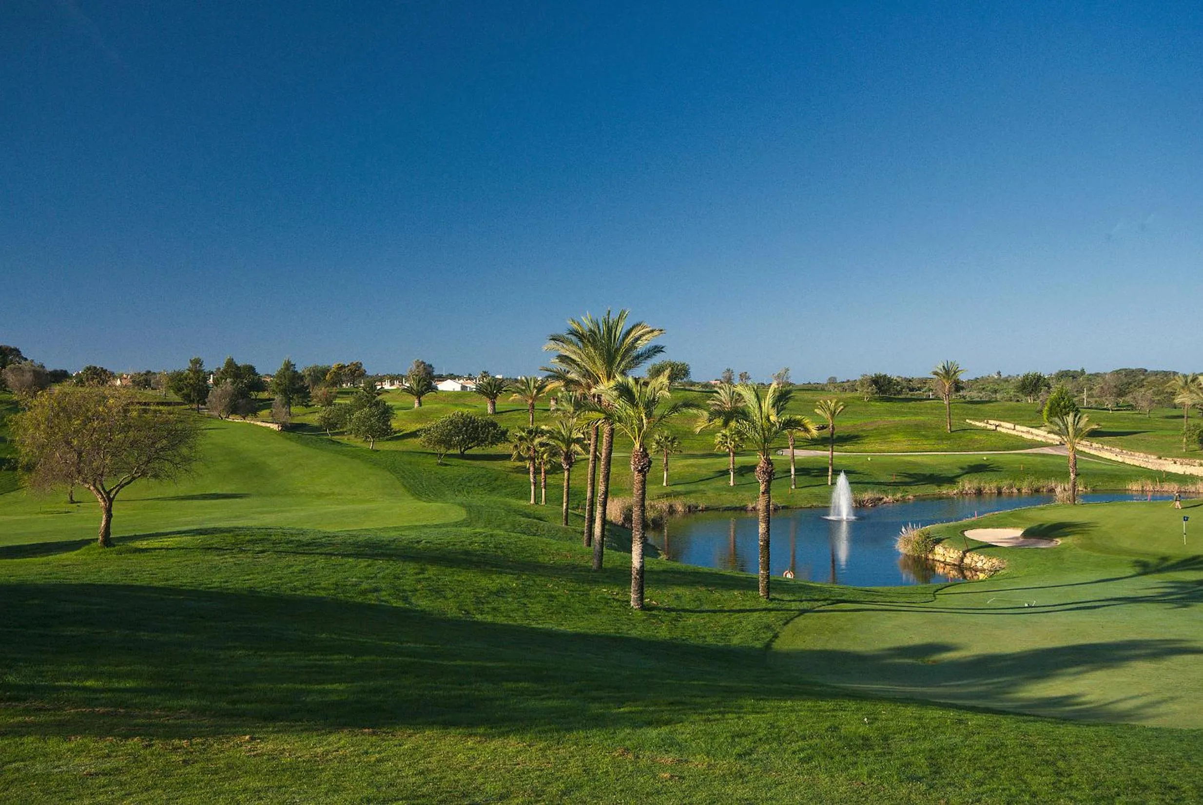 Natural landscape in Pestana Gramacho Residences
