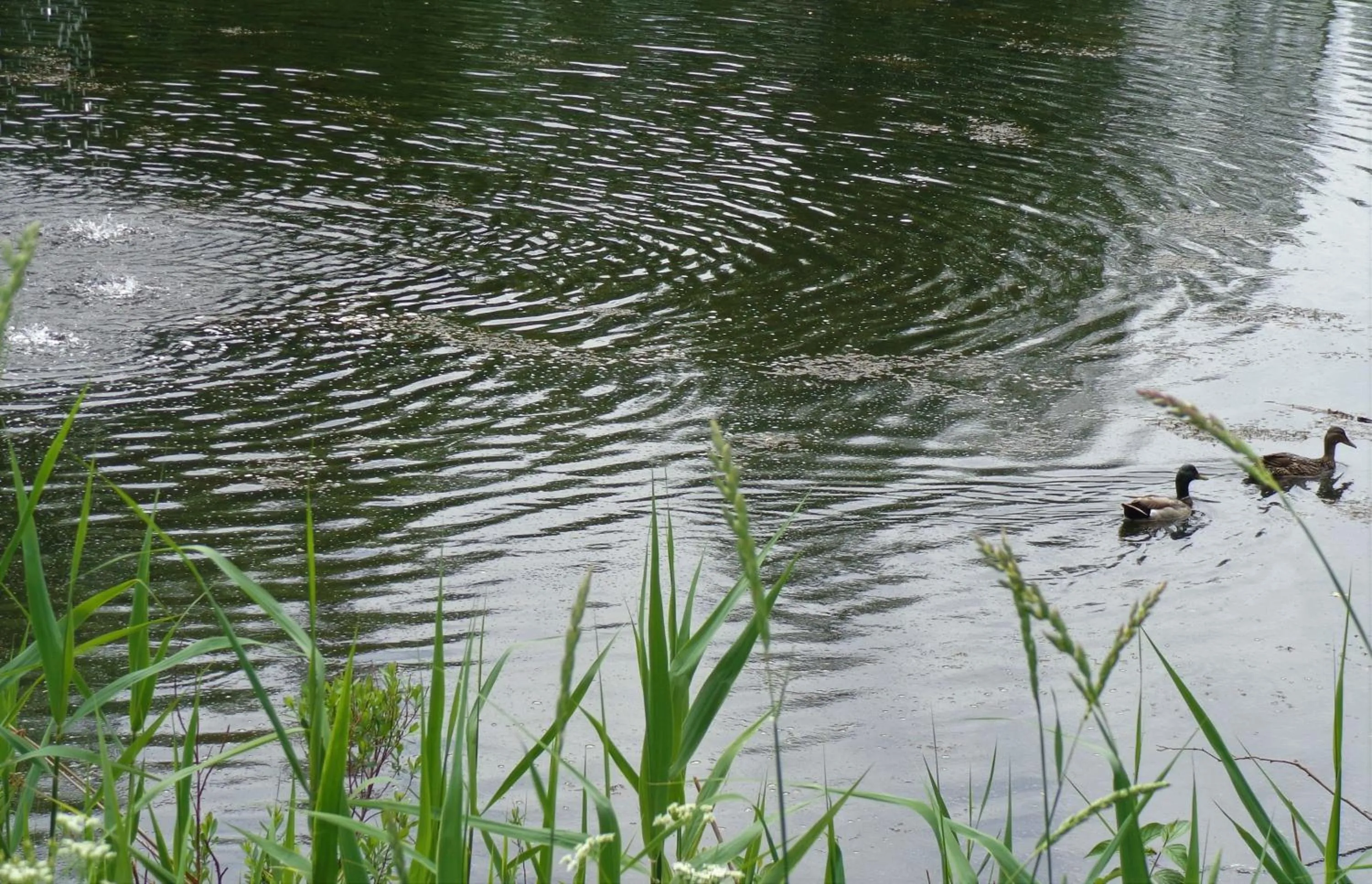 Lake view in Motel des Deux Lacs