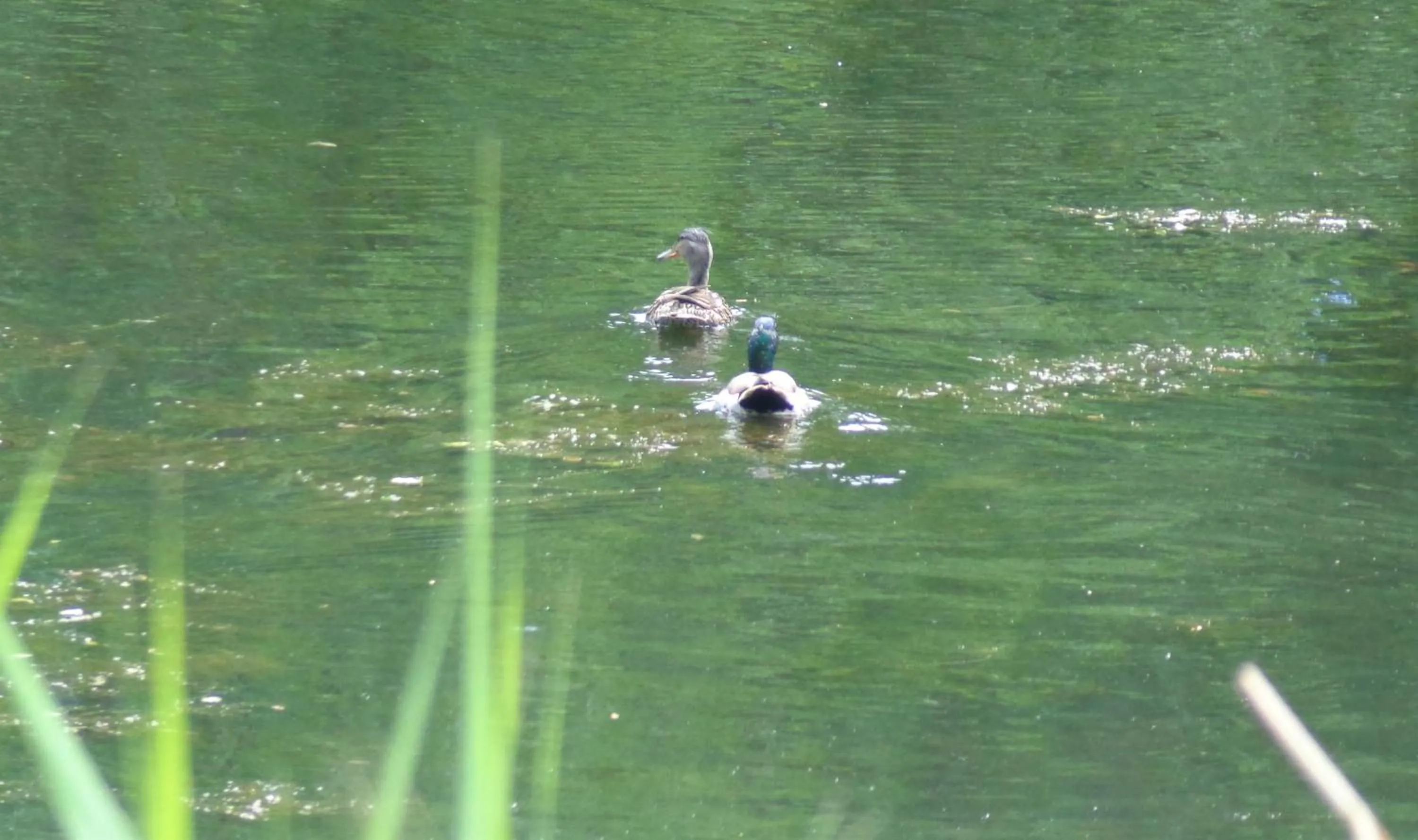 Lake view in Motel des Deux Lacs