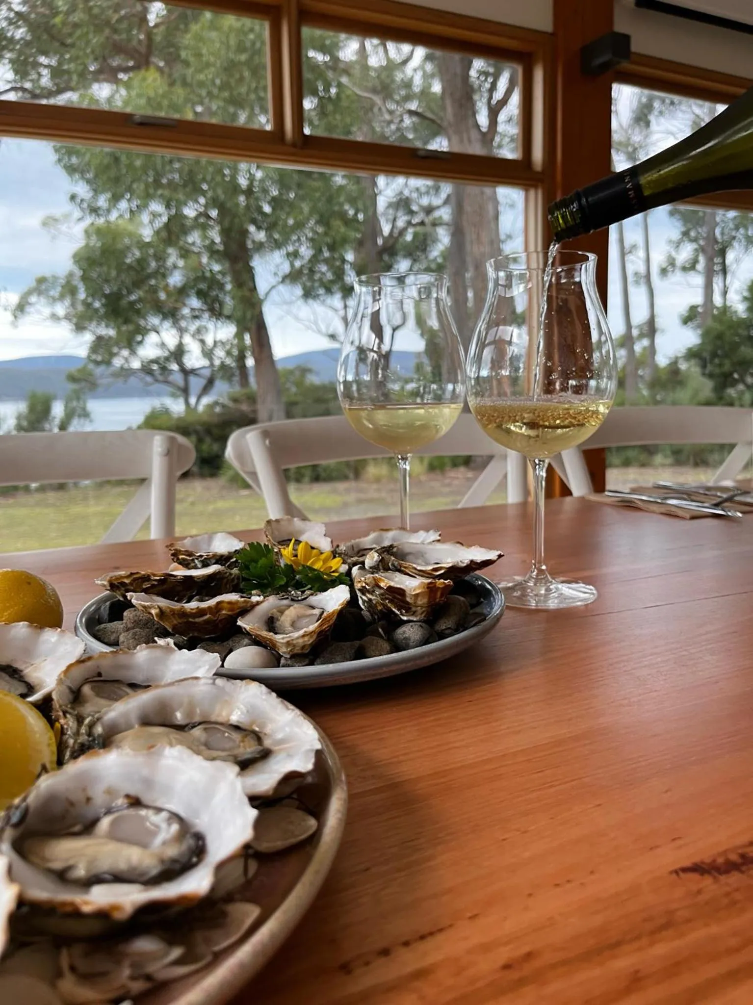 Restaurant/places to eat in Stewarts Bay Lodge