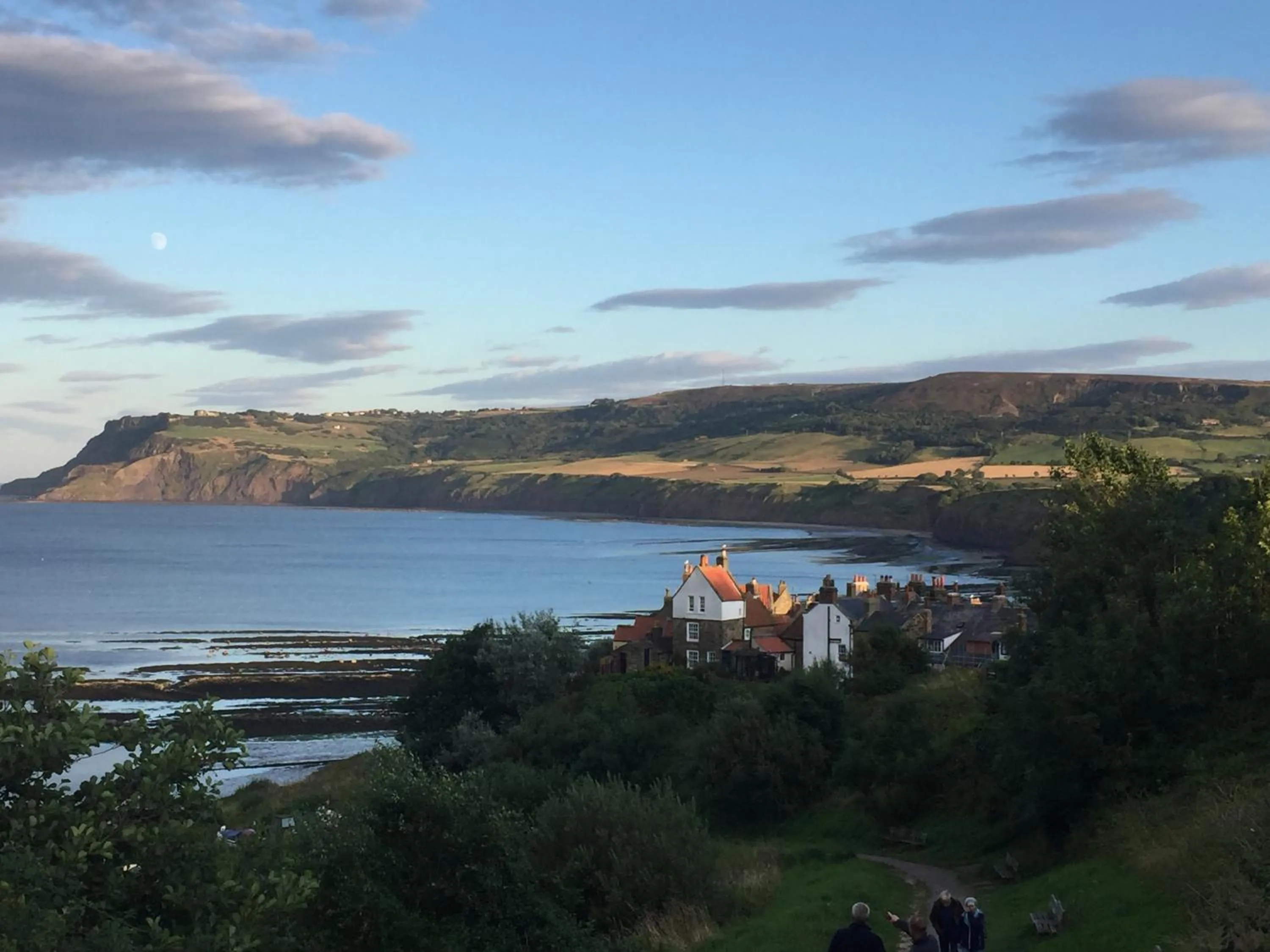 Natural landscape in Fernleigh