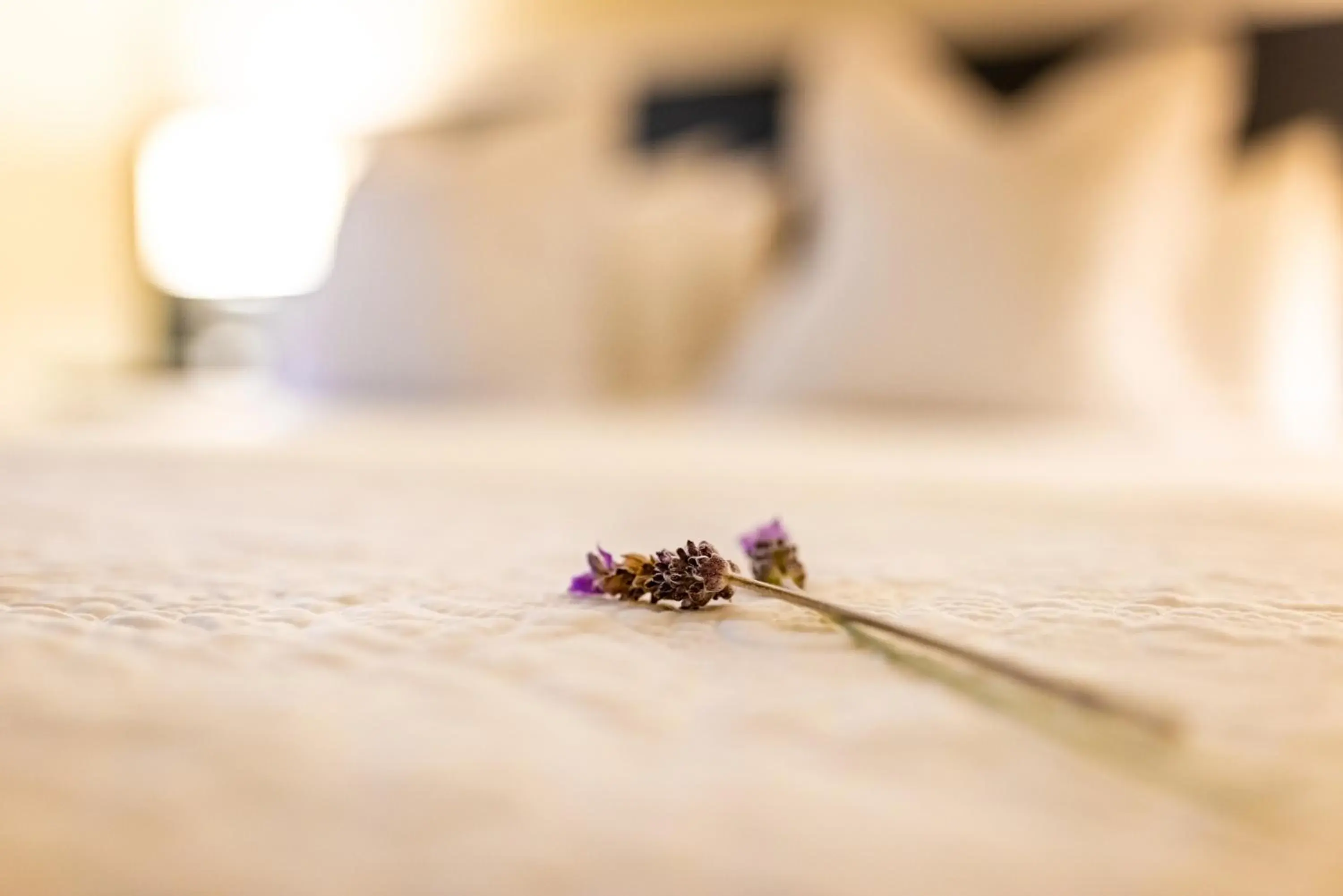 Courtyard Queen Room in Margaret River Guest House Courtyard Queen Room in Margaret River Guest House