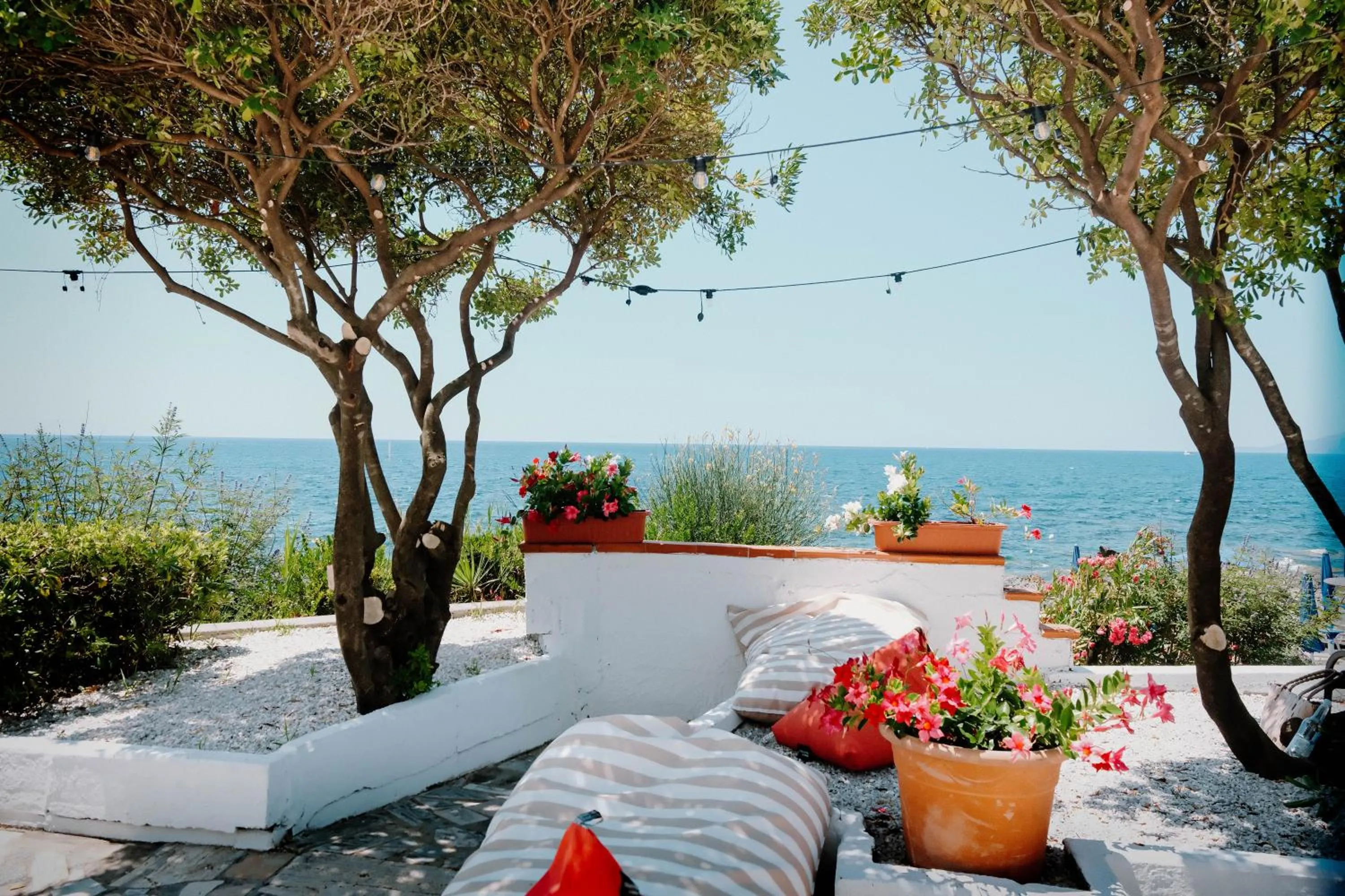 Garden in Beach Hotel Terracotta