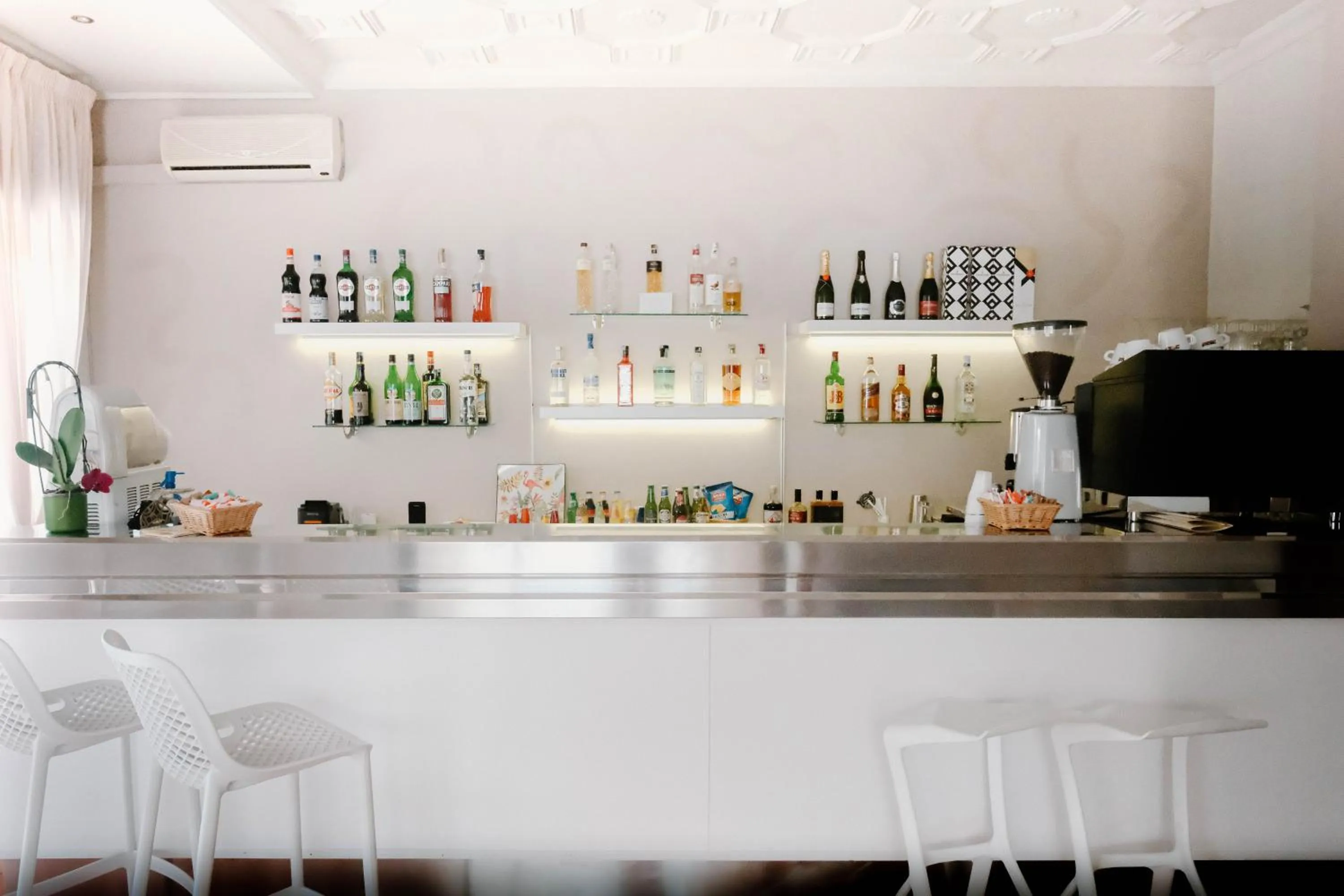 Lounge or bar in Beach Hotel Terracotta