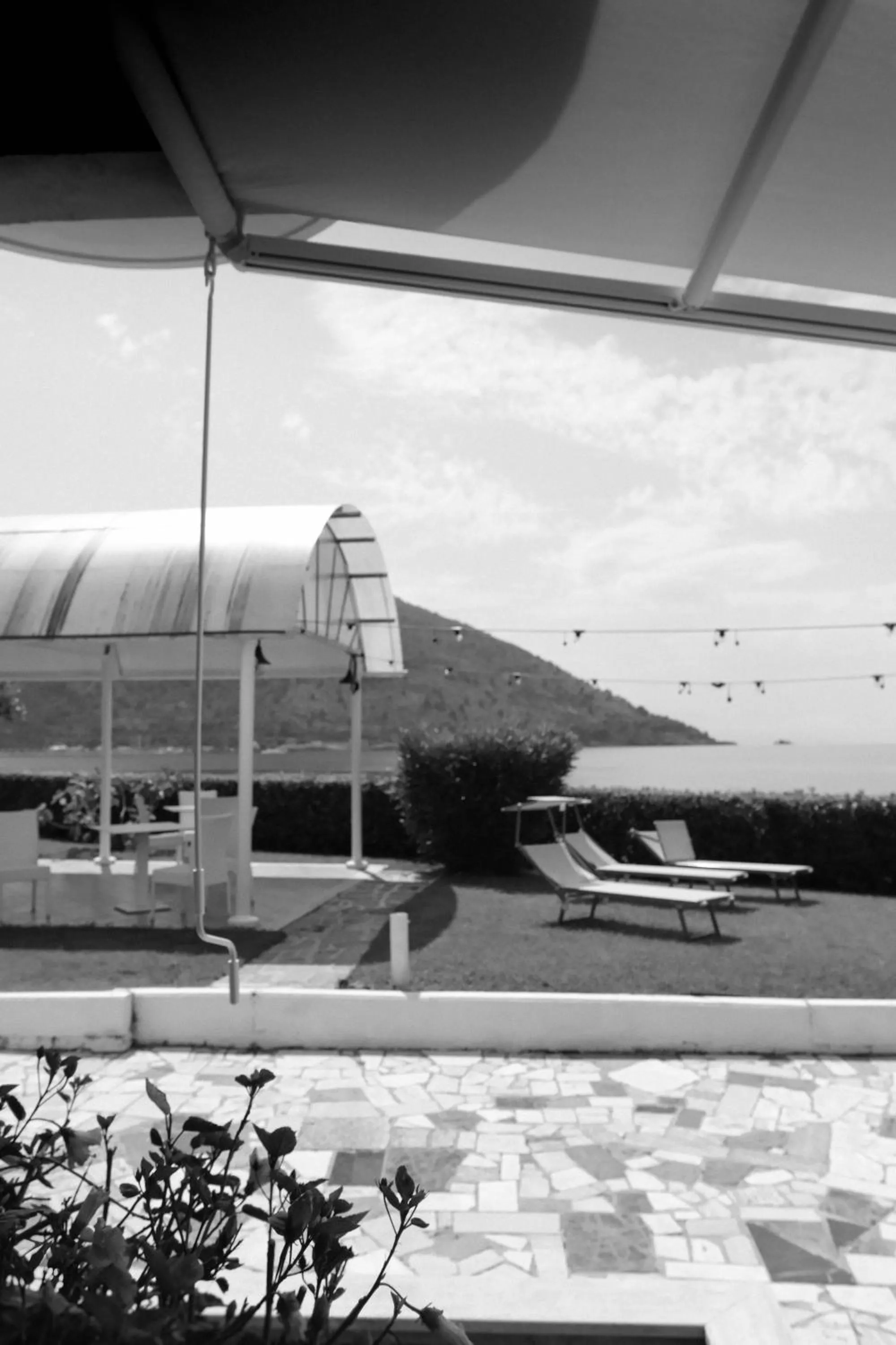 Garden in Beach Hotel Terracotta