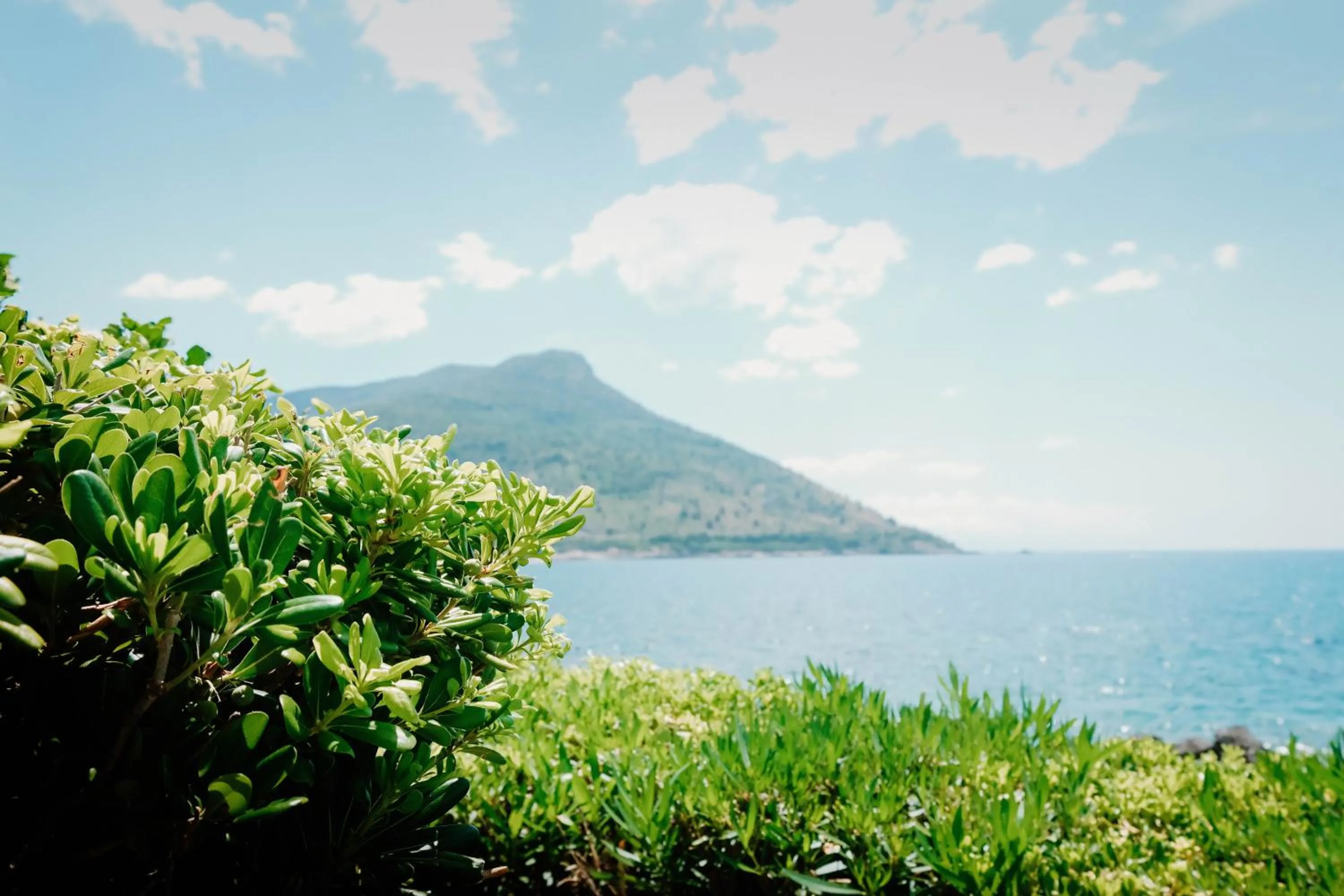 Garden view in Beach Hotel Terracotta