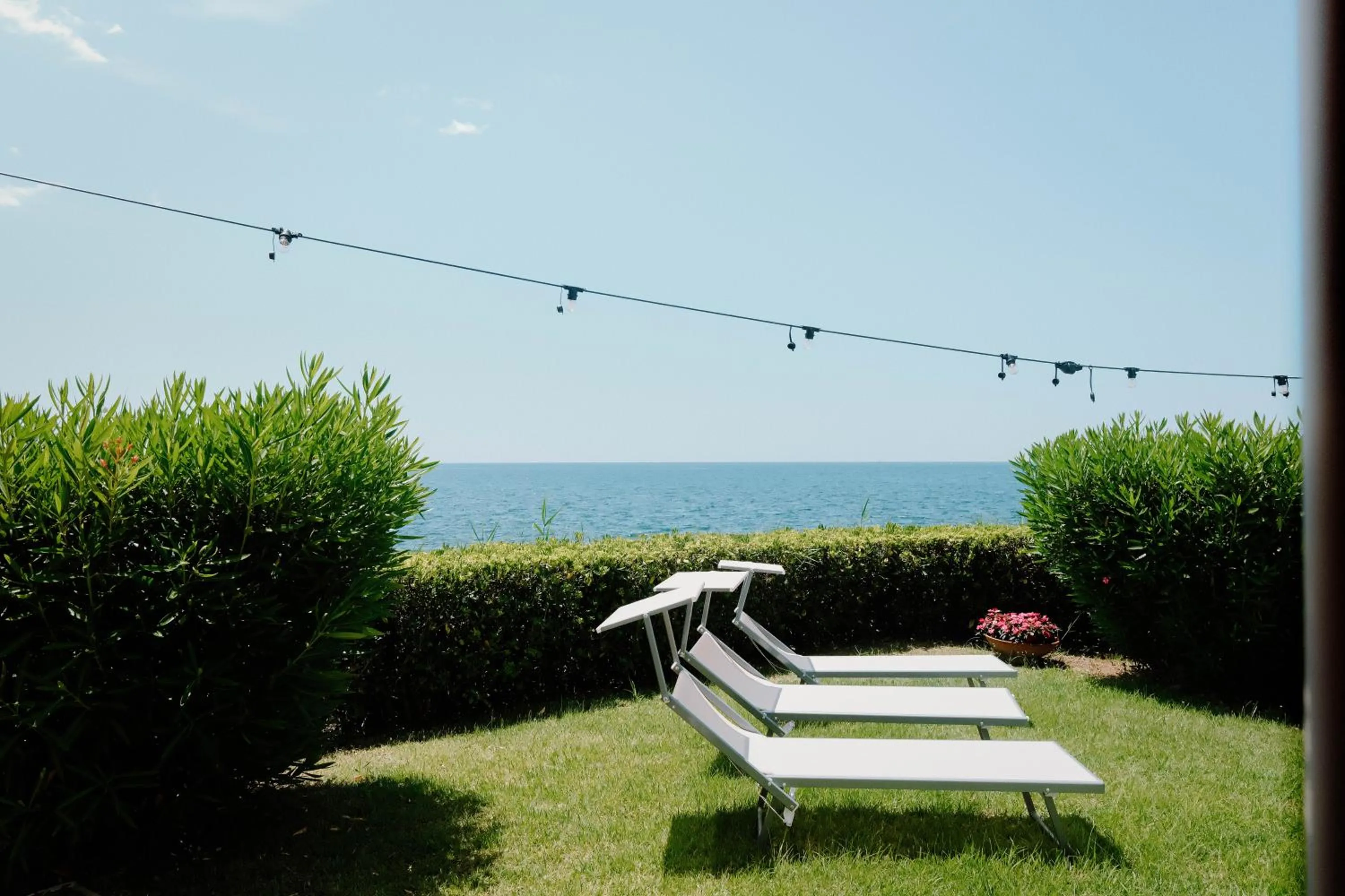 Garden in Beach Hotel Terracotta