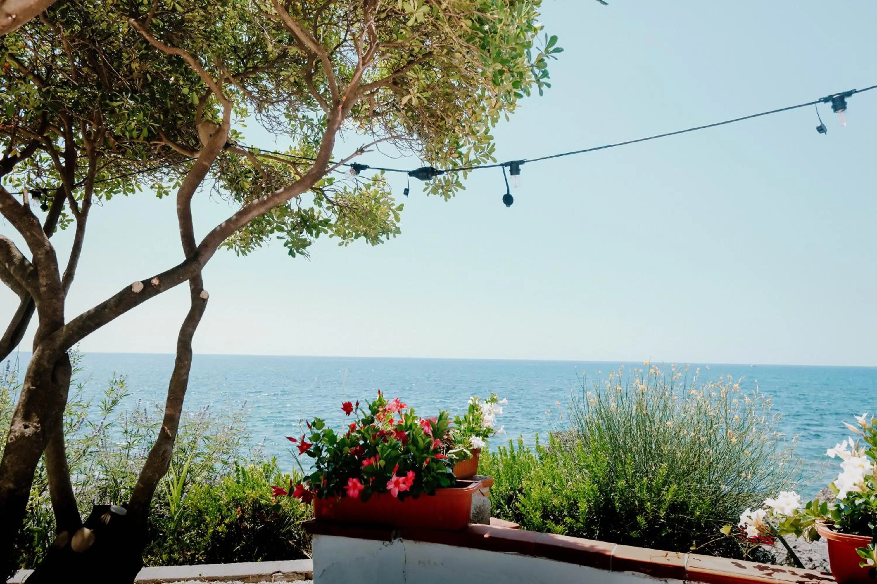 Garden in Beach Hotel Terracotta