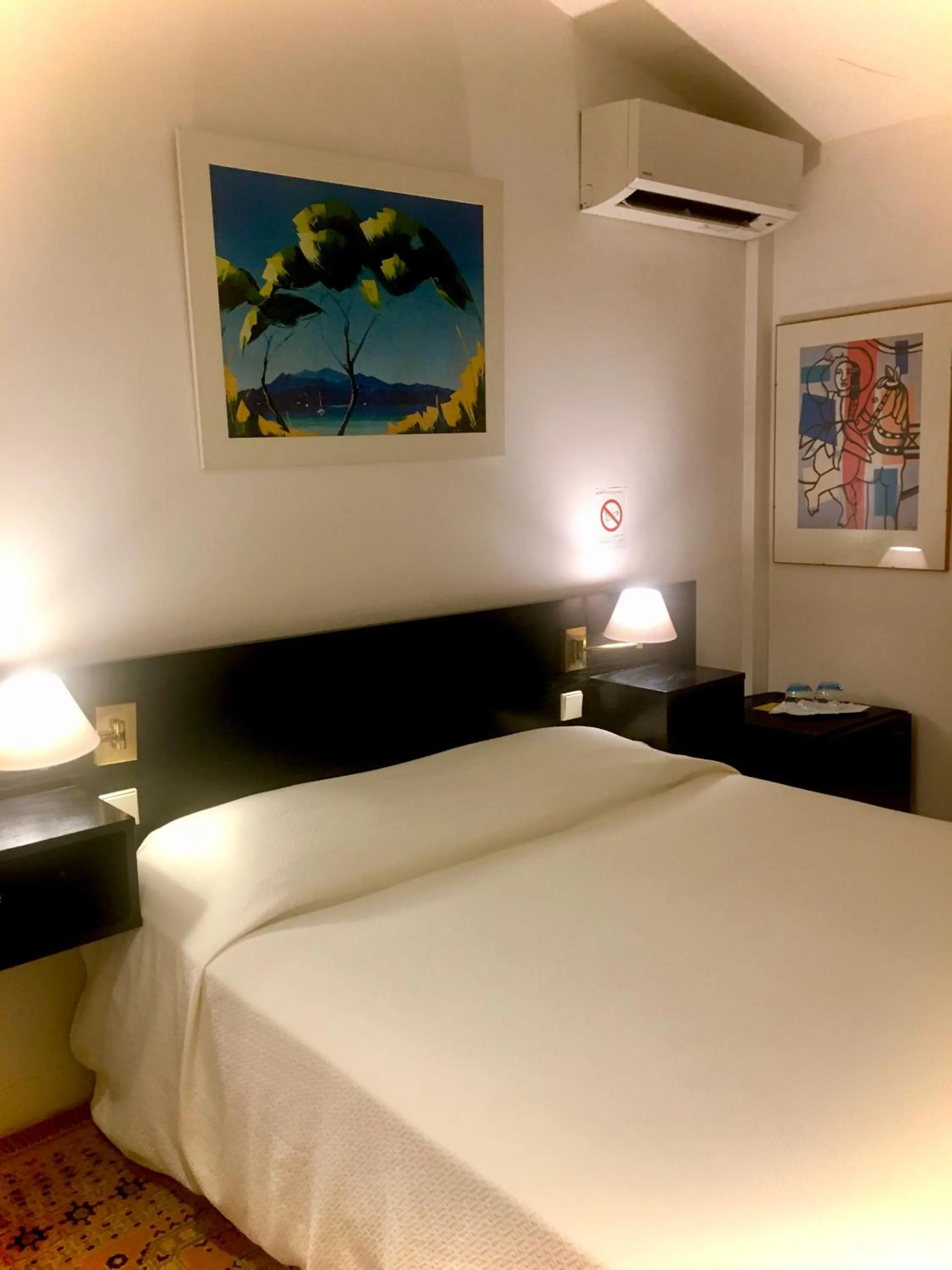 Photo of the whole room in Hotel des Mimosas