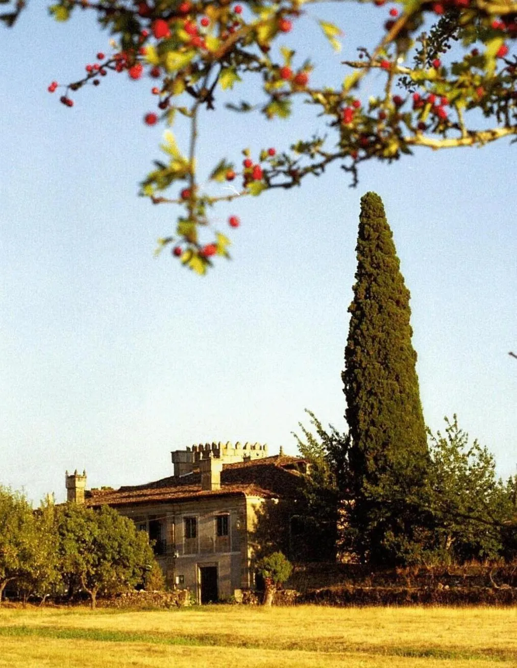 Street view in Casa Grande de Rosende