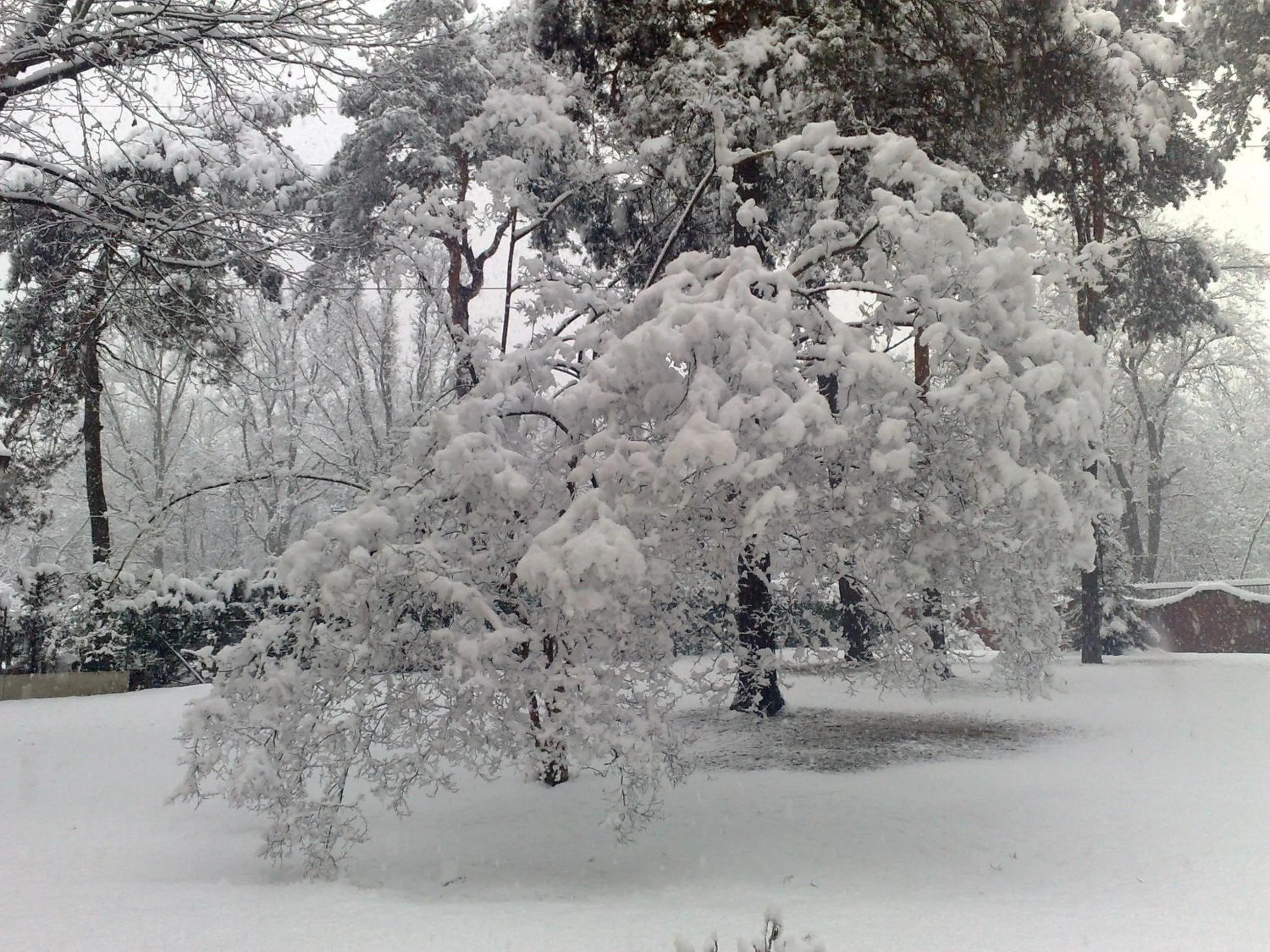 Winter in Bed&Garden