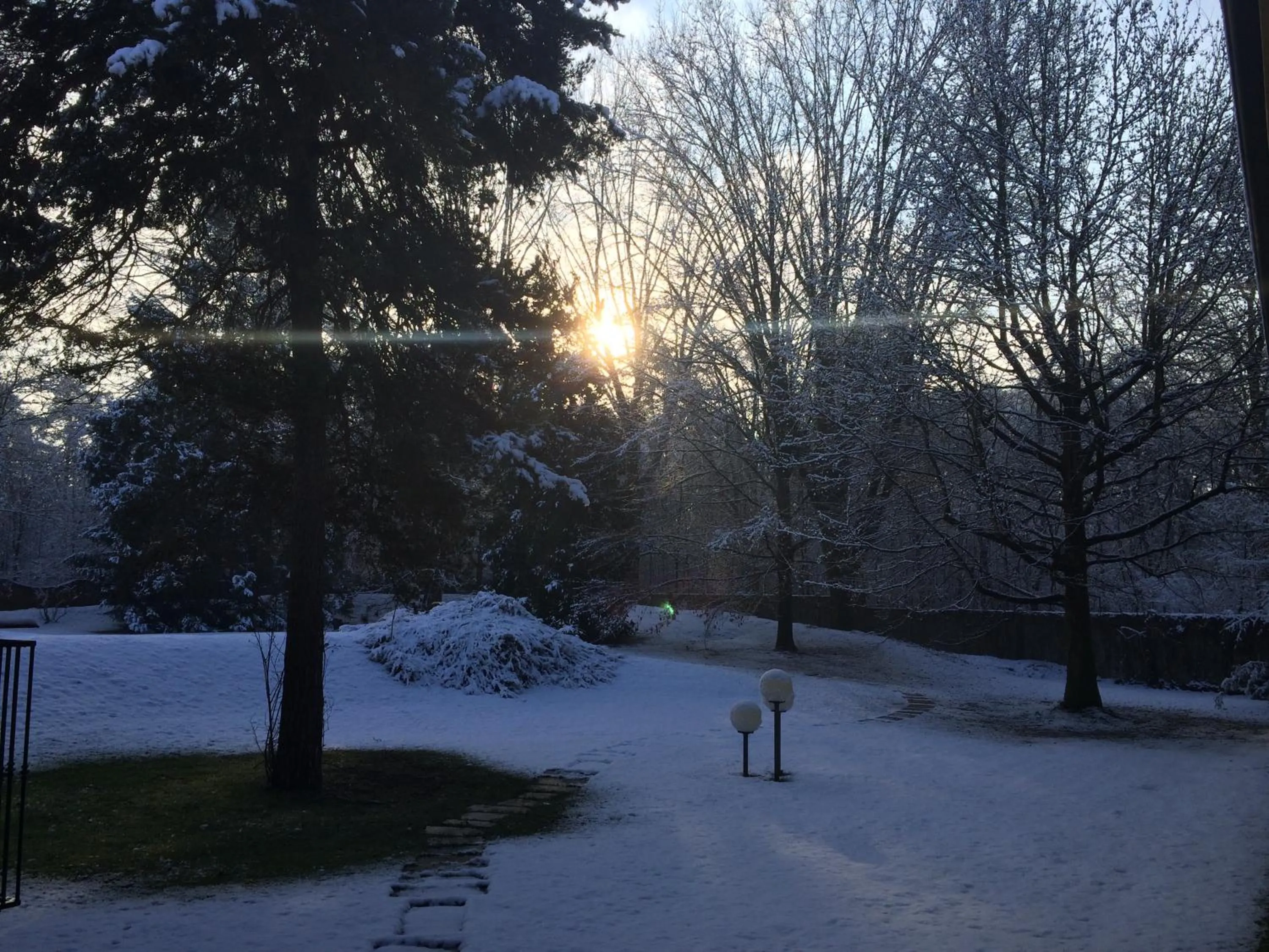 Winter in Bed&Garden