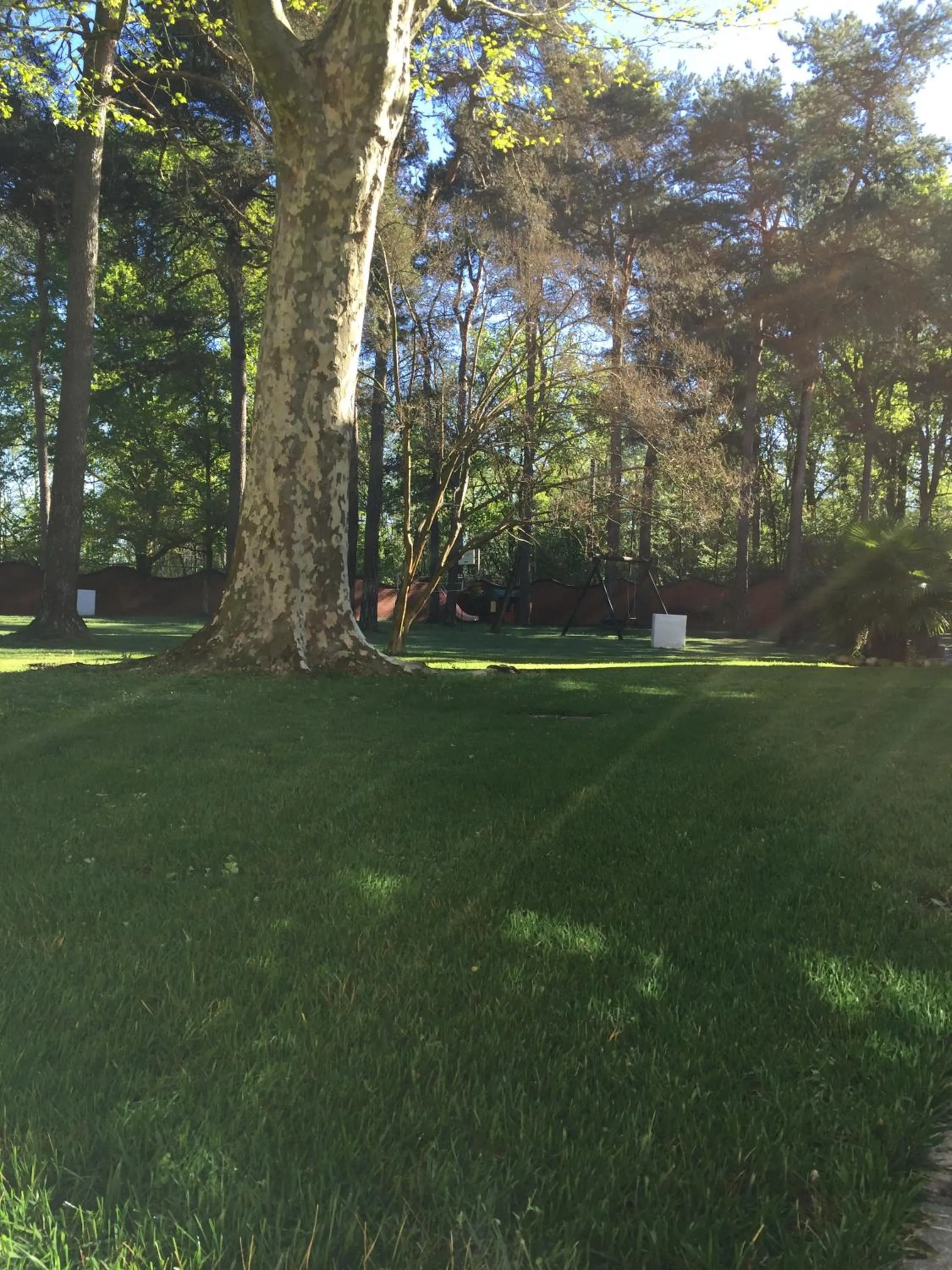 Garden in Bed&Garden