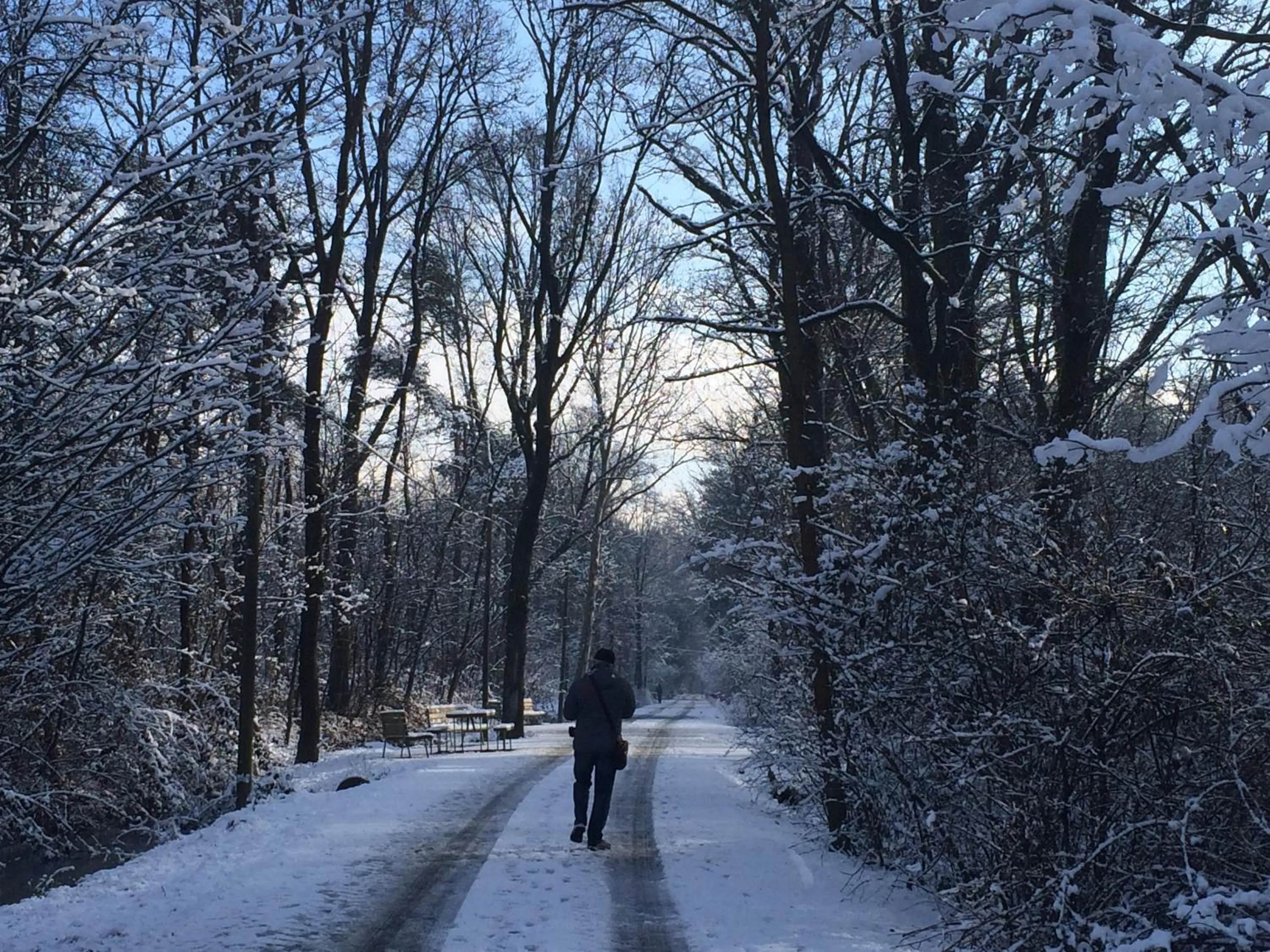 Area and facilities in Bed&Garden