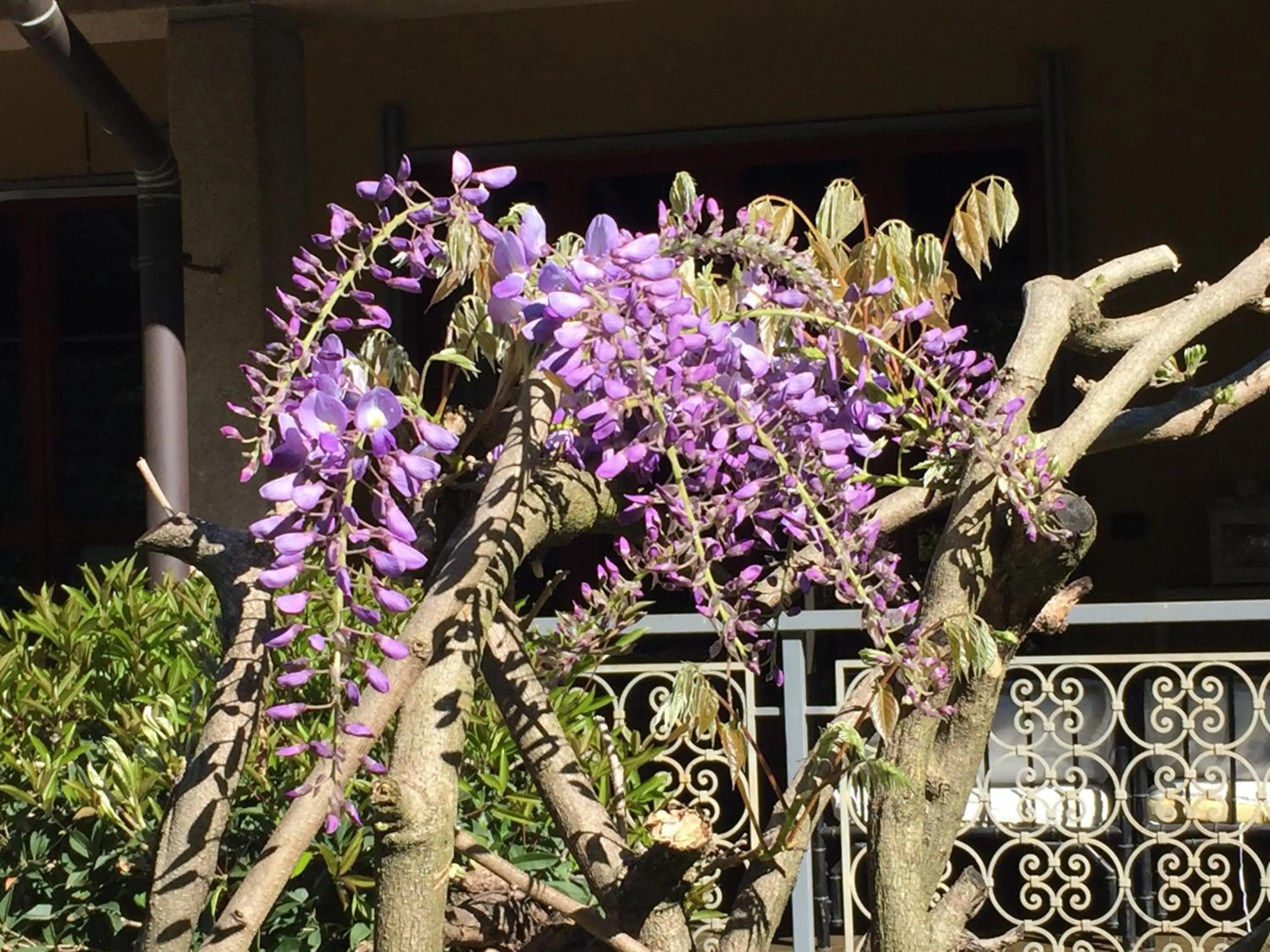 Seasons in Bed&Garden