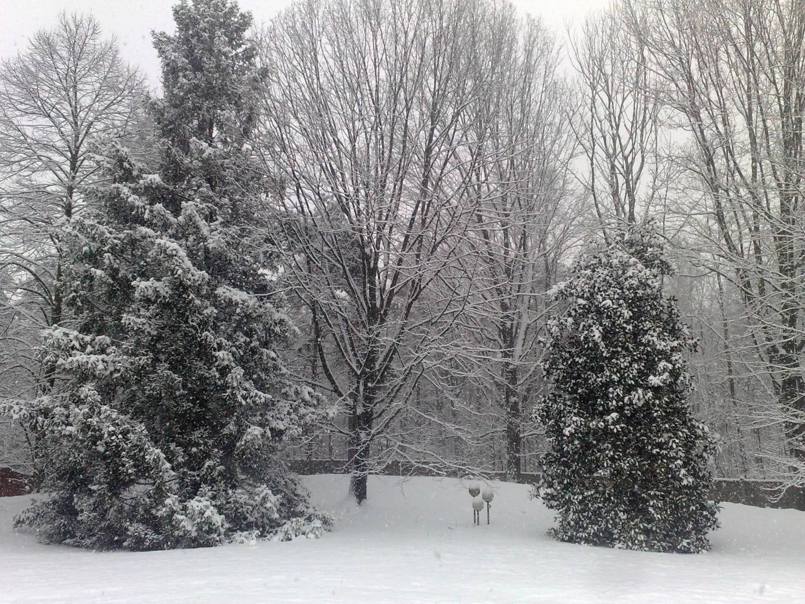 Winter in Bed&Garden