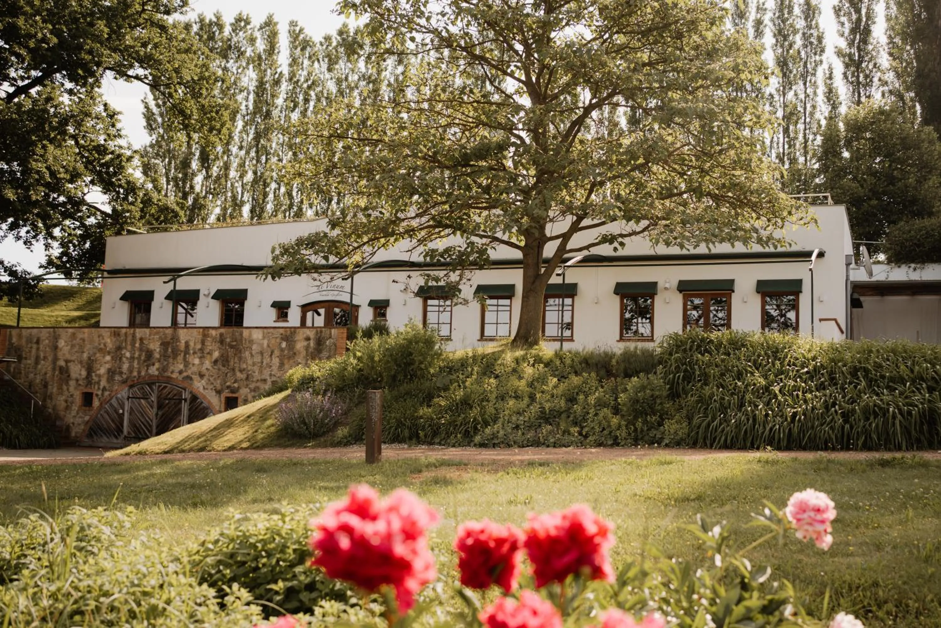 Garden in Das Eisenberg