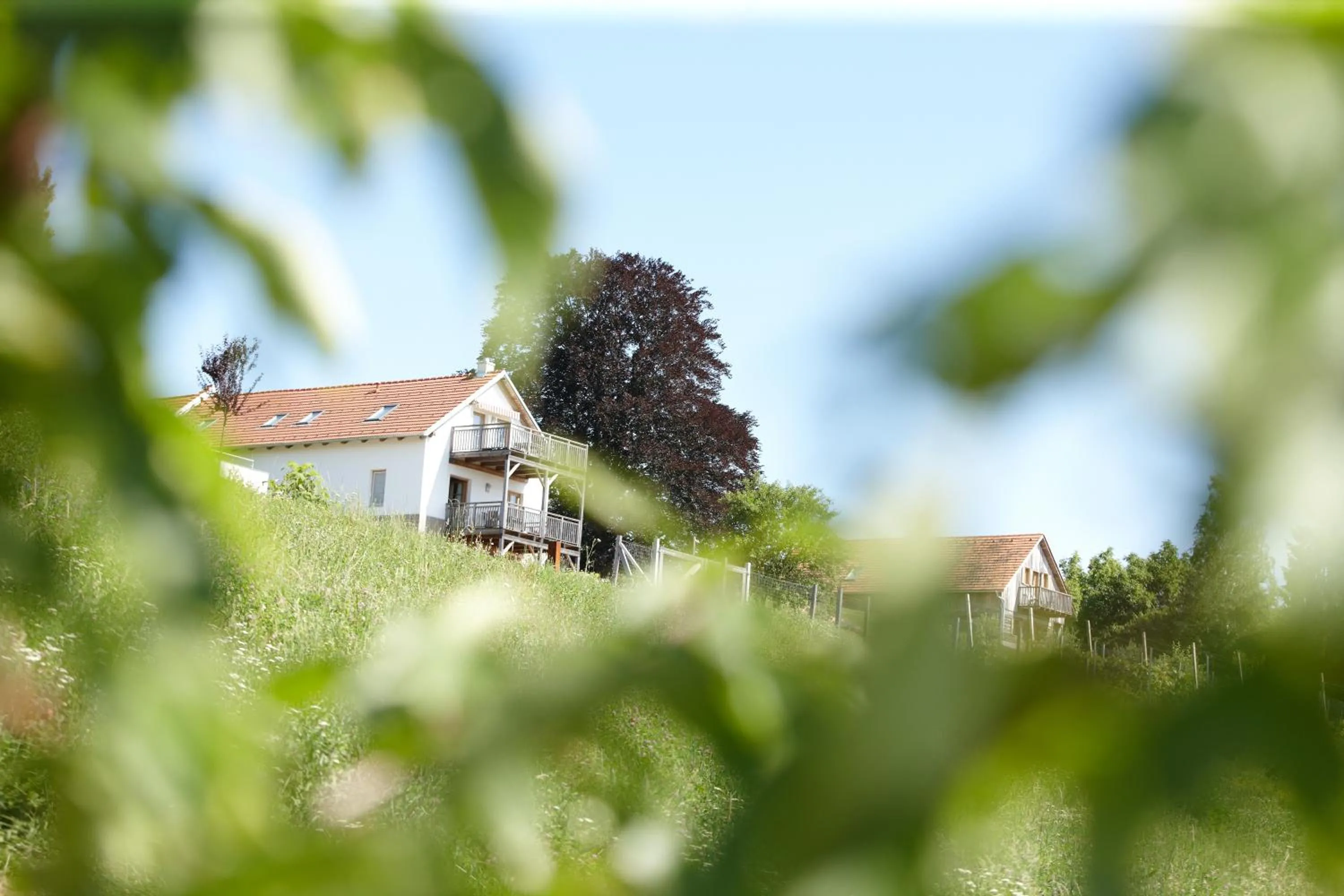 Facade/entrance in Das Eisenberg