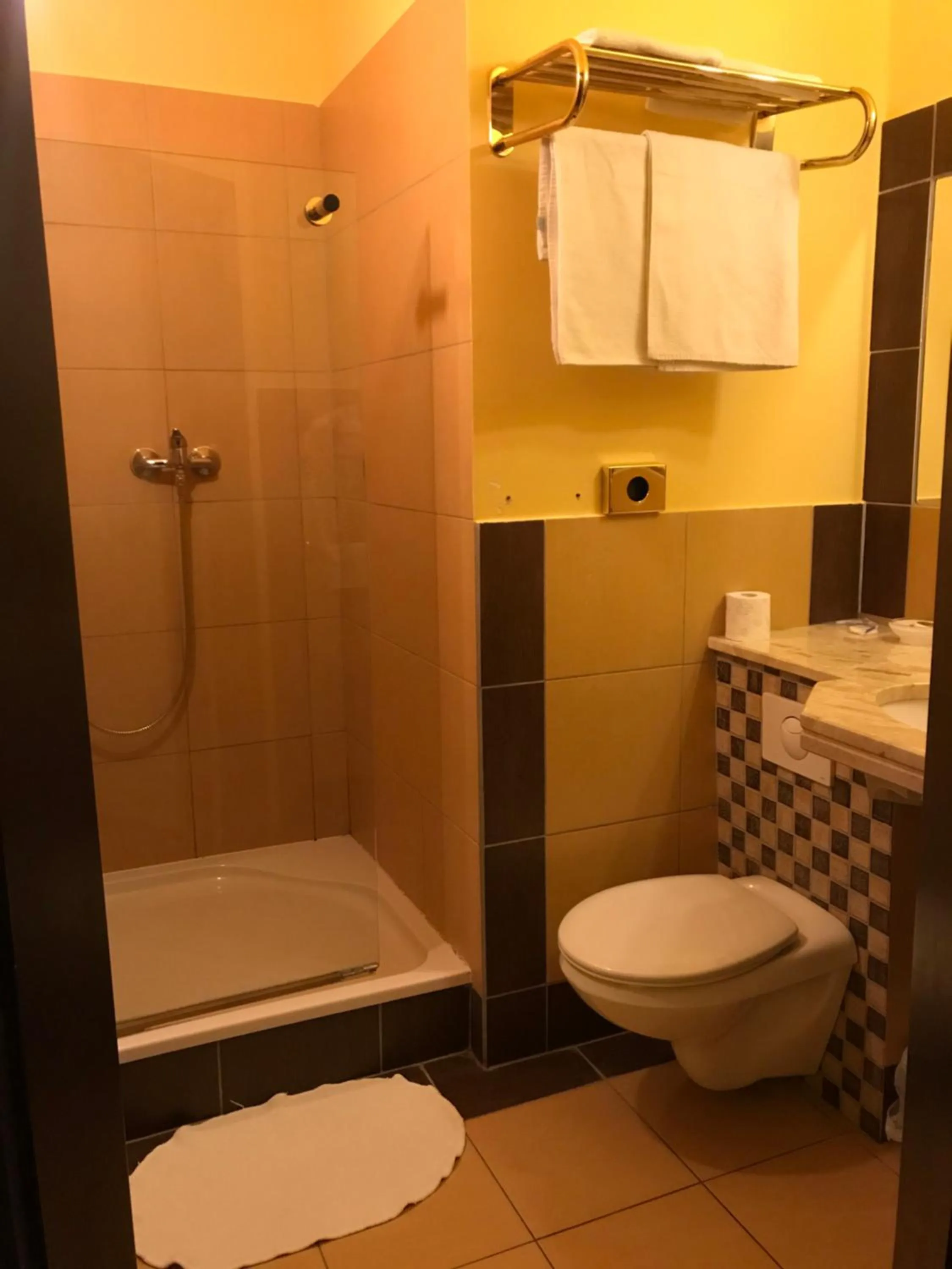 Shower in Hotel Podzamcze