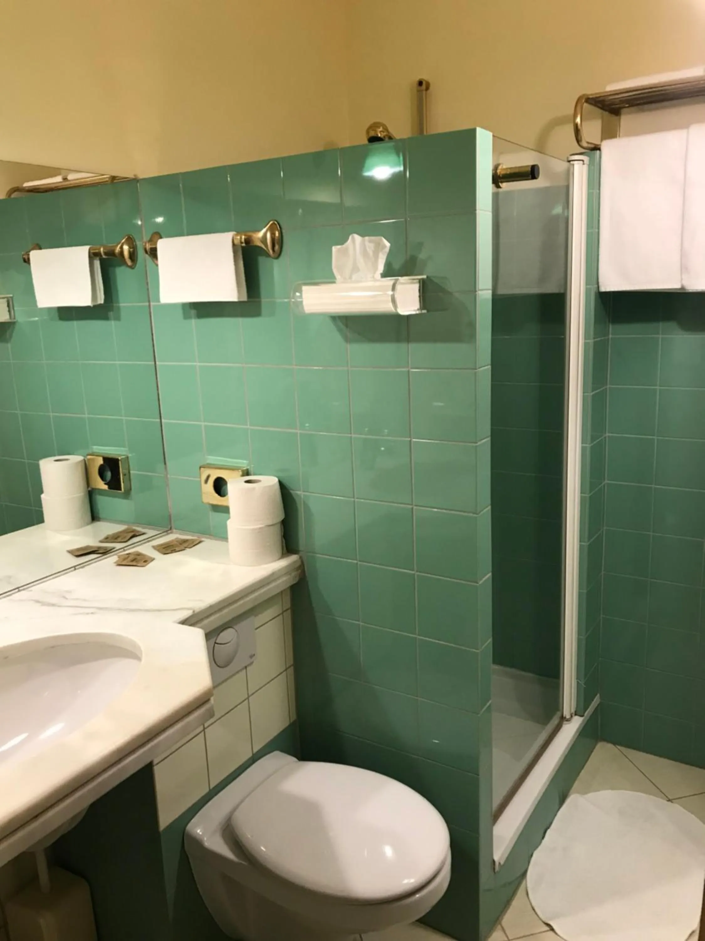 Shower in Hotel Podzamcze