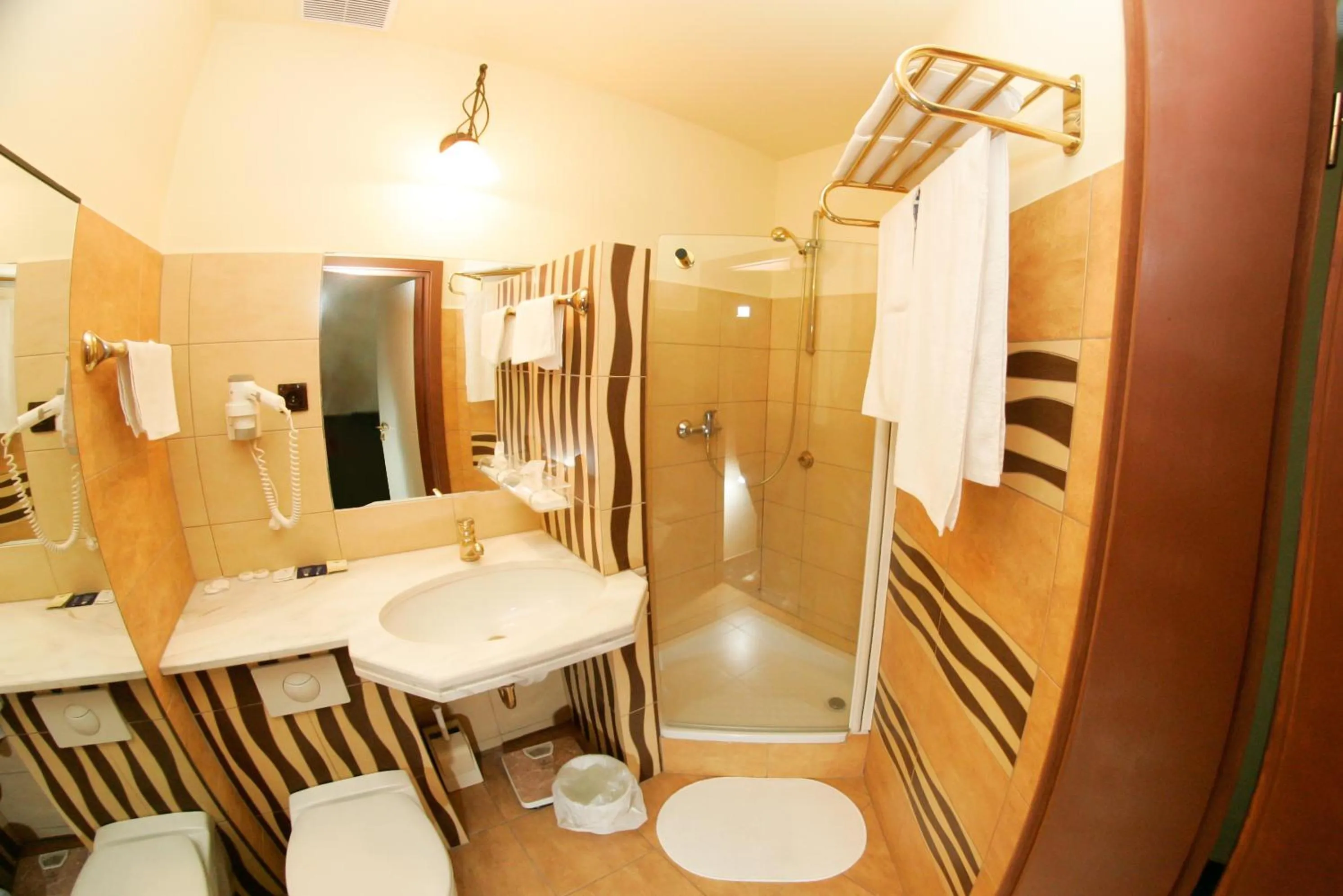 Shower in Hotel Podzamcze