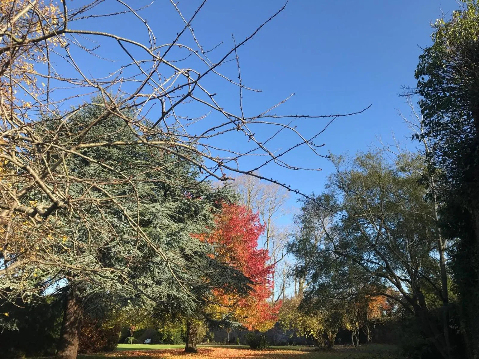Garden in Leixlip Manor Hotel