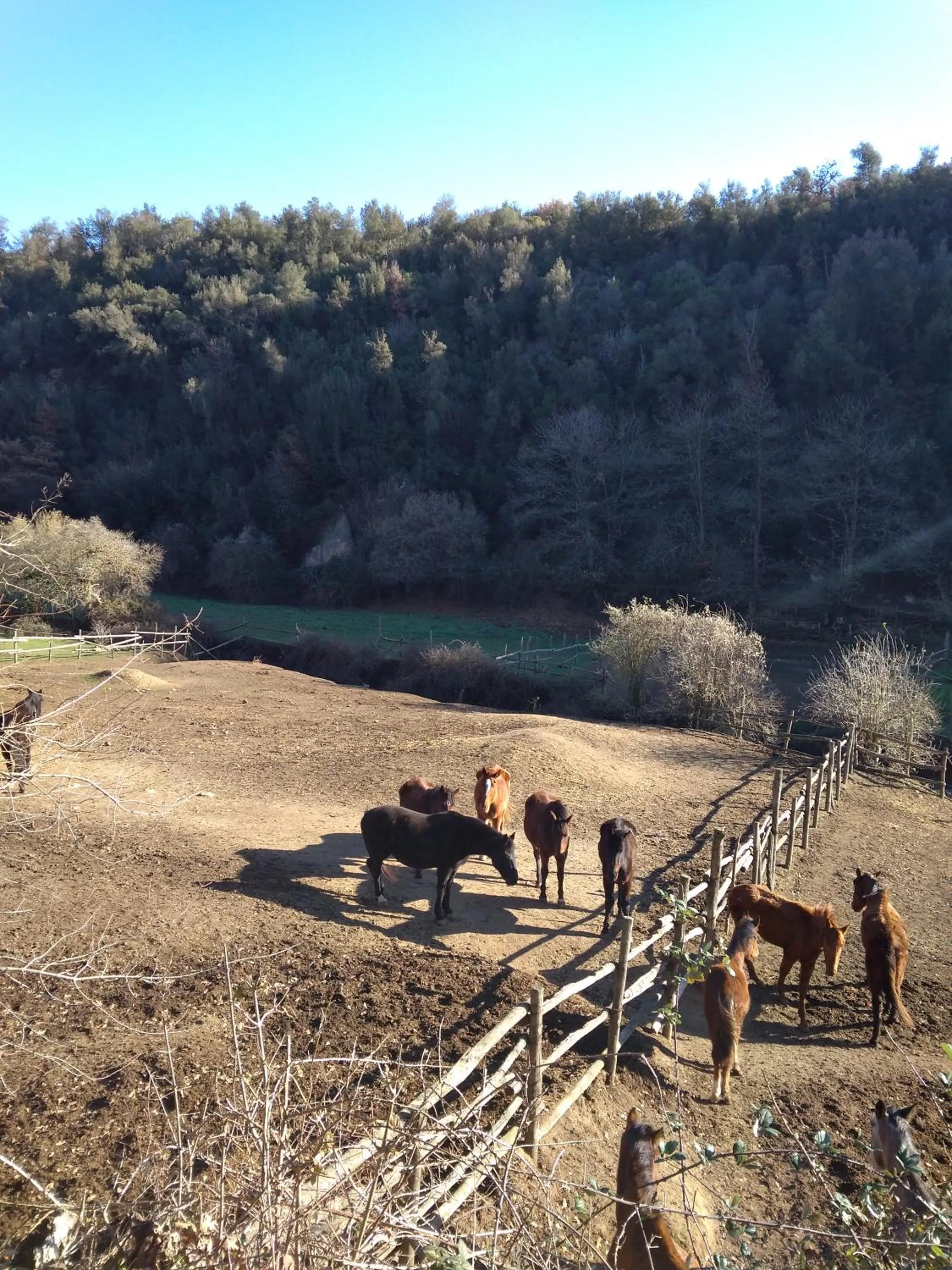 B&B Le Buche Casa Storica