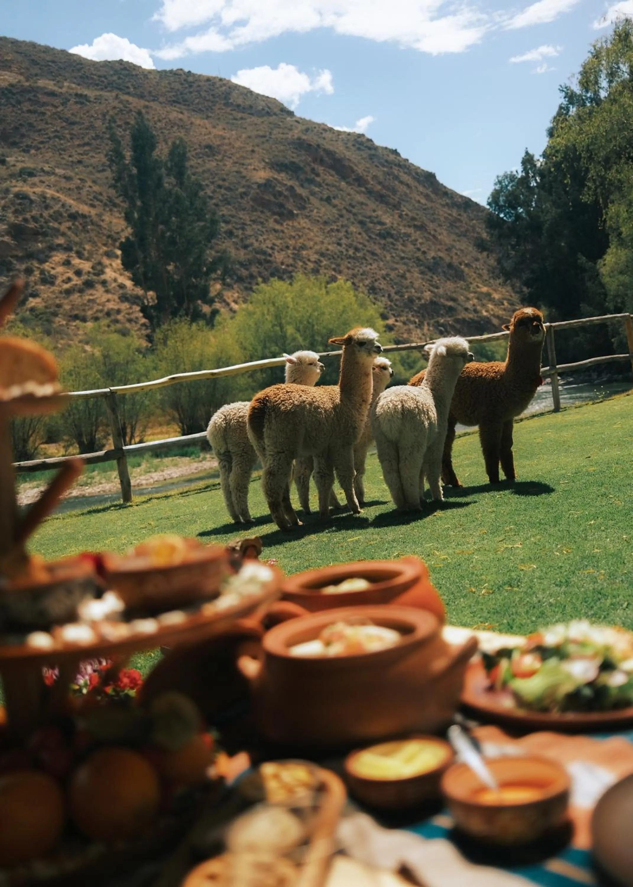 Natural landscape in Rio Sagrado, A Belmond Hotel, Sacred Valley