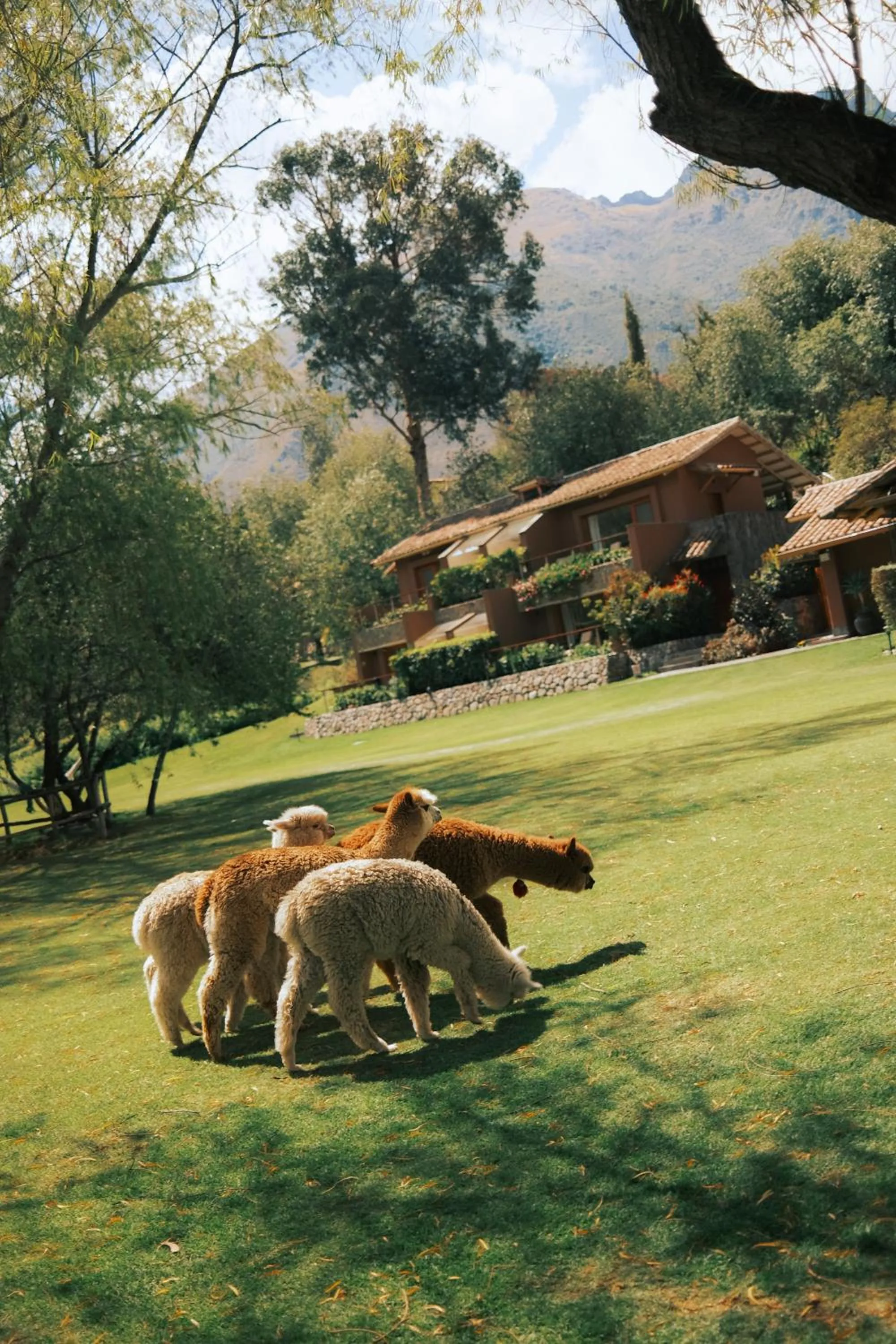 Natural landscape in Rio Sagrado, A Belmond Hotel, Sacred Valley