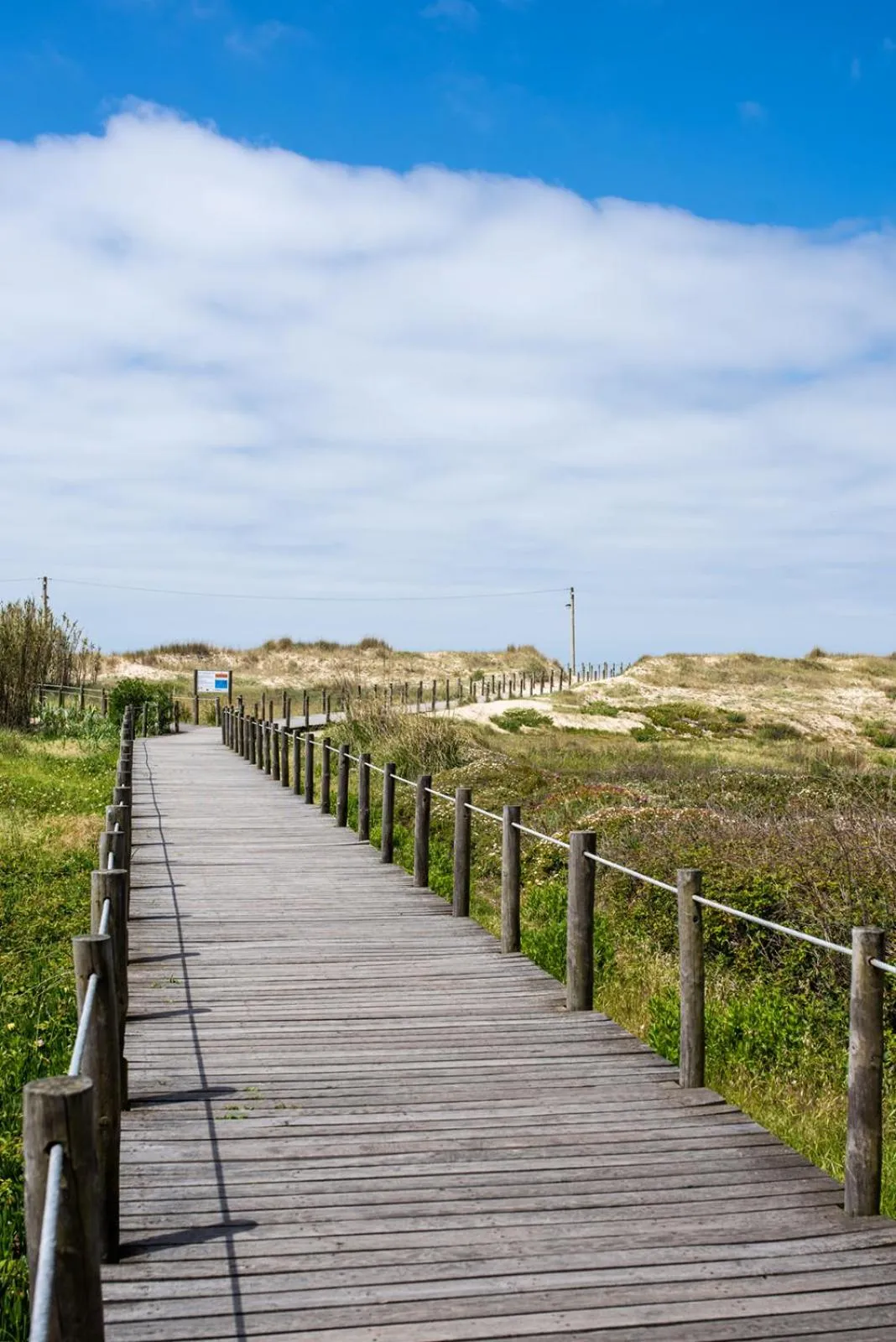 Neighbourhood in Madalena Beach Apartment by MP