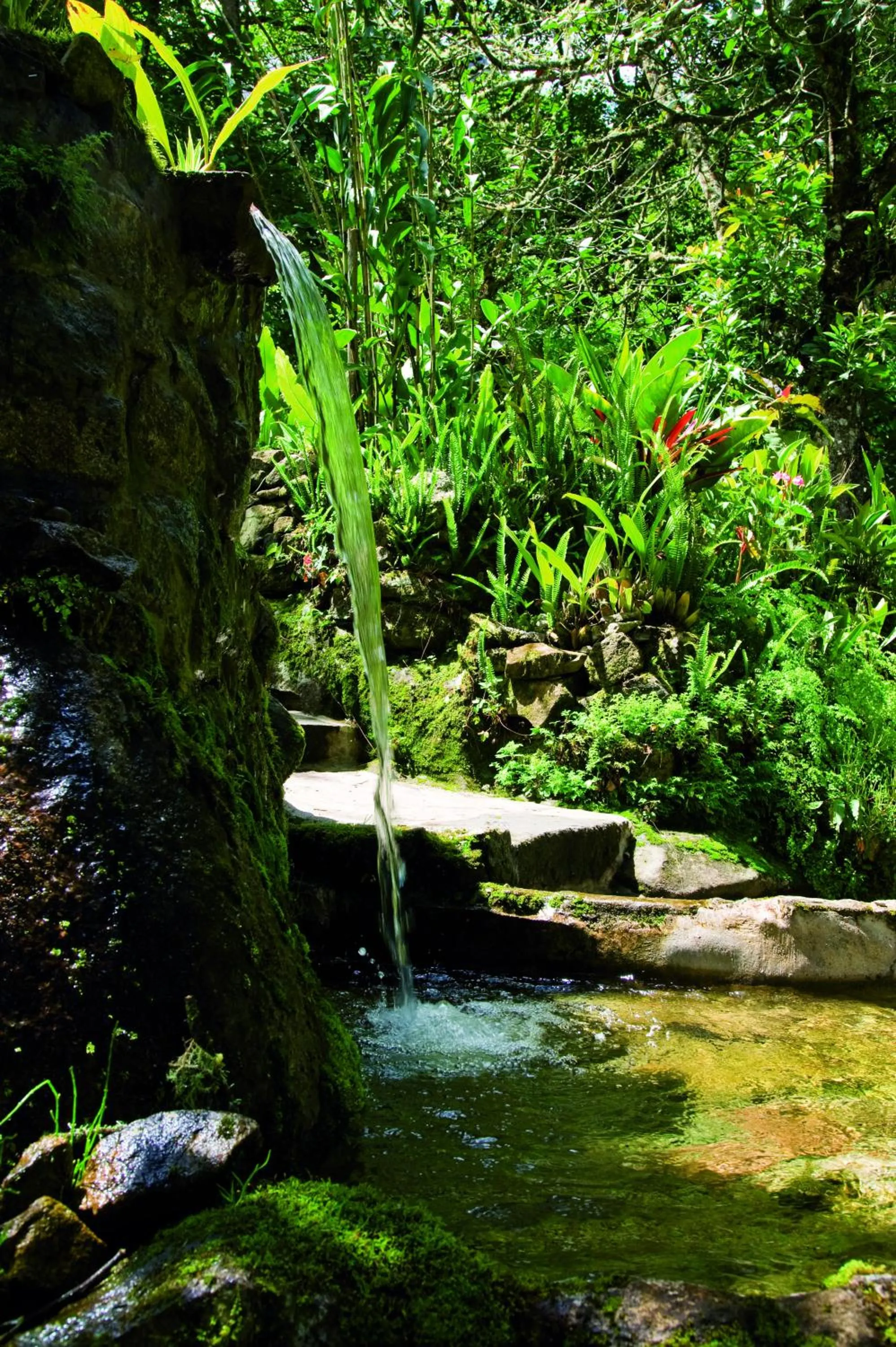Garden in Sanctuary Lodge, A Belmond Hotel, Machu Picchu