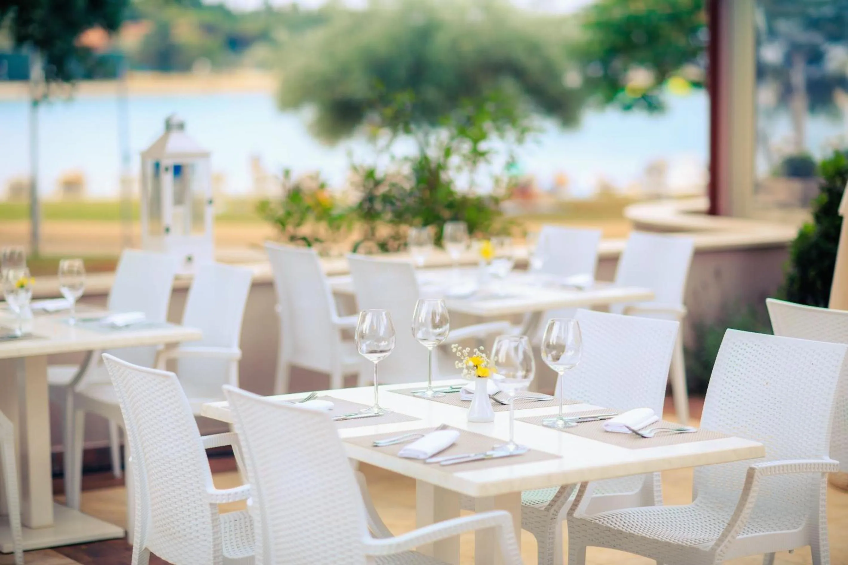 Restaurant/places to eat in Apartments Amfora Plava Laguna