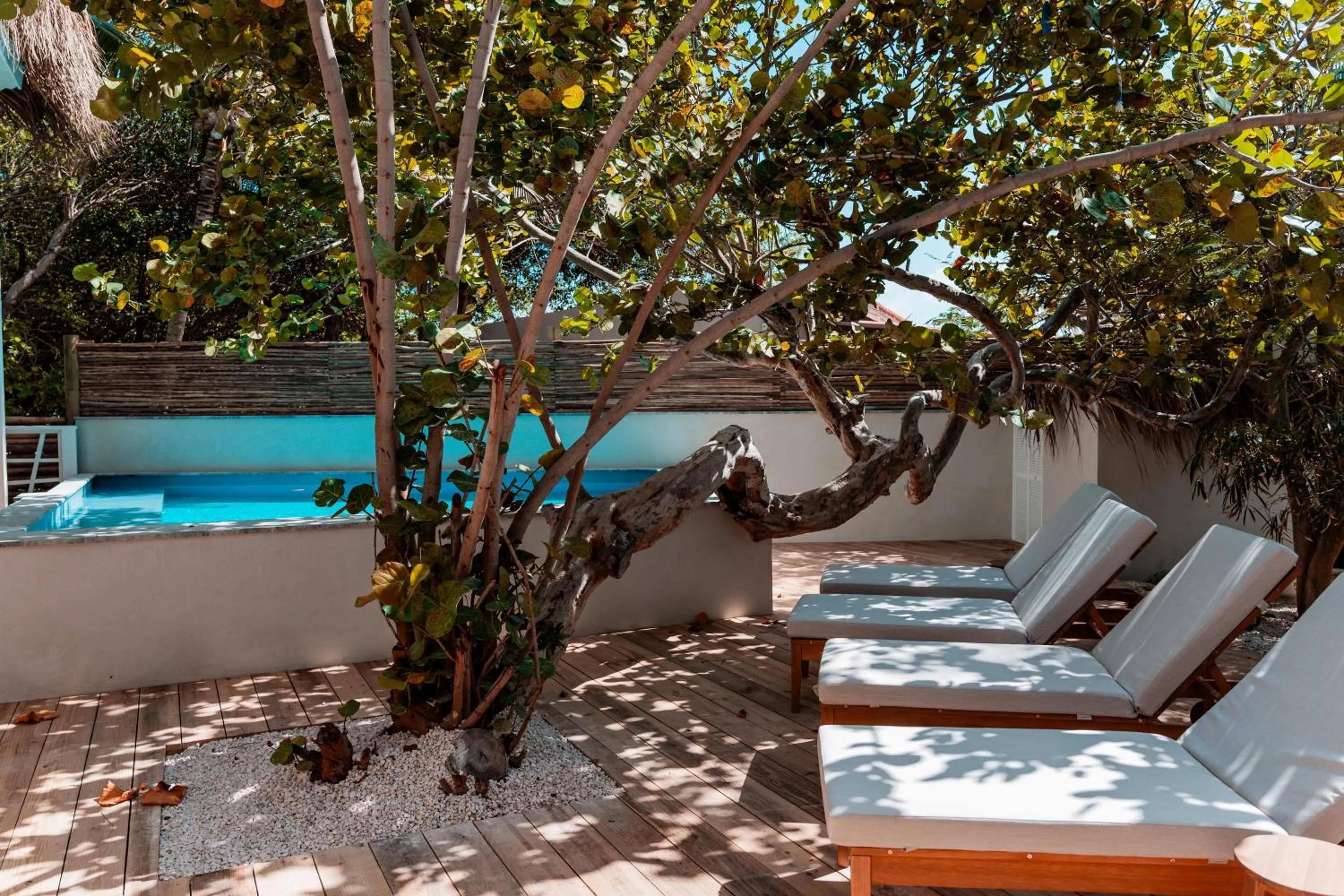 Garden in Sorobon Luxury Beach Resort