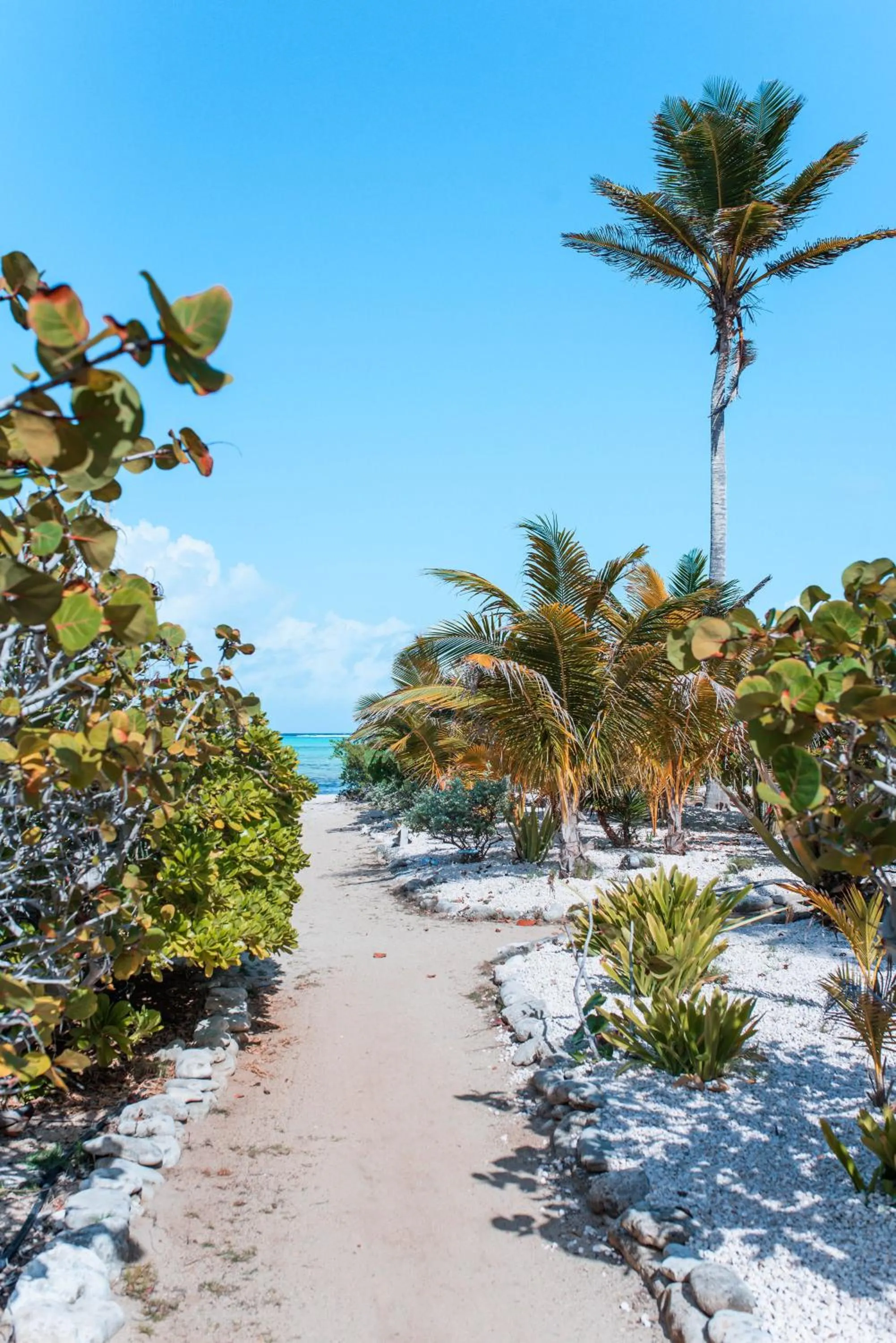Natural landscape in Sorobon Luxury Beach Resort