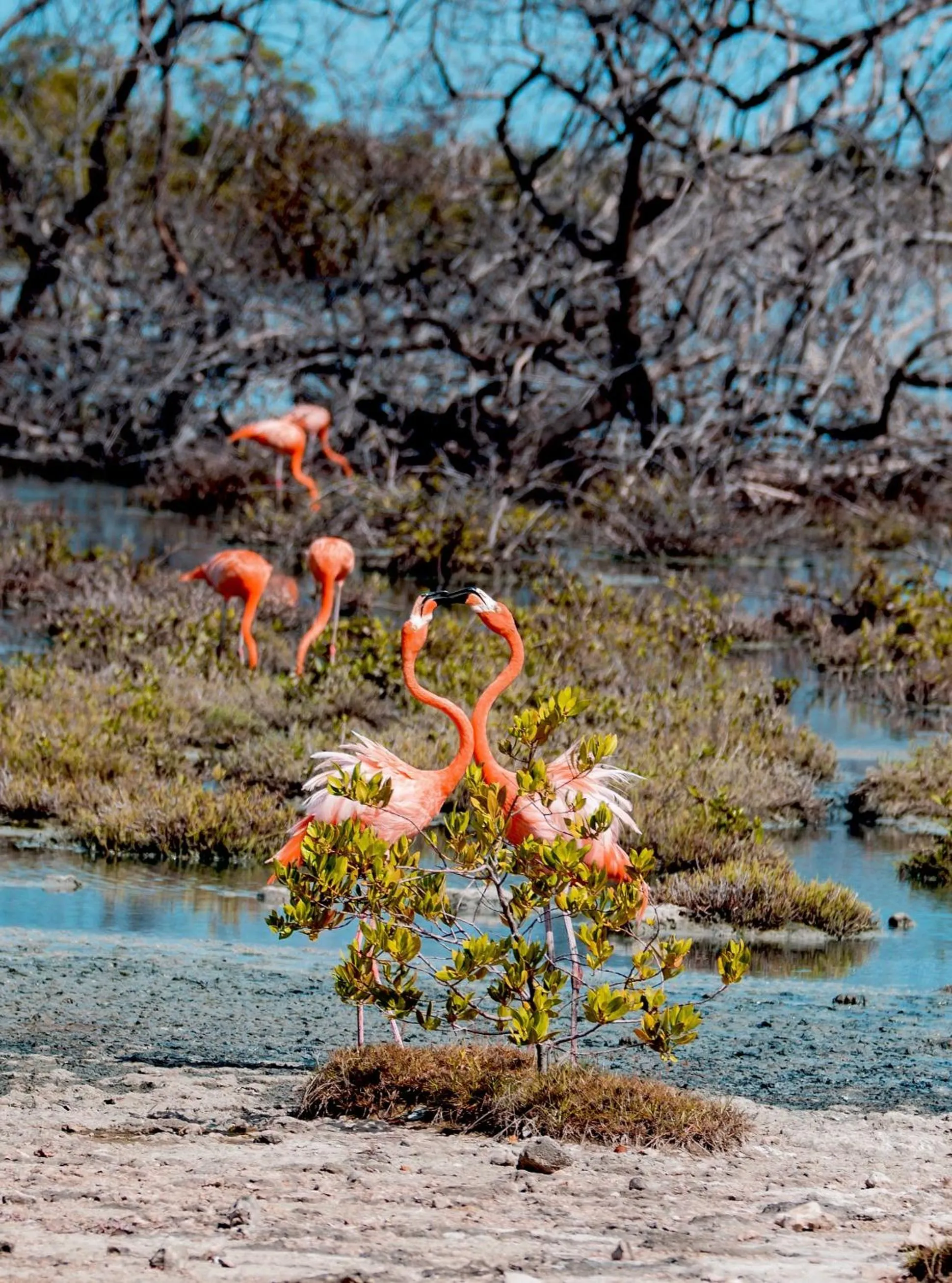 Nearby landmark in Sorobon Luxury Beach Resort