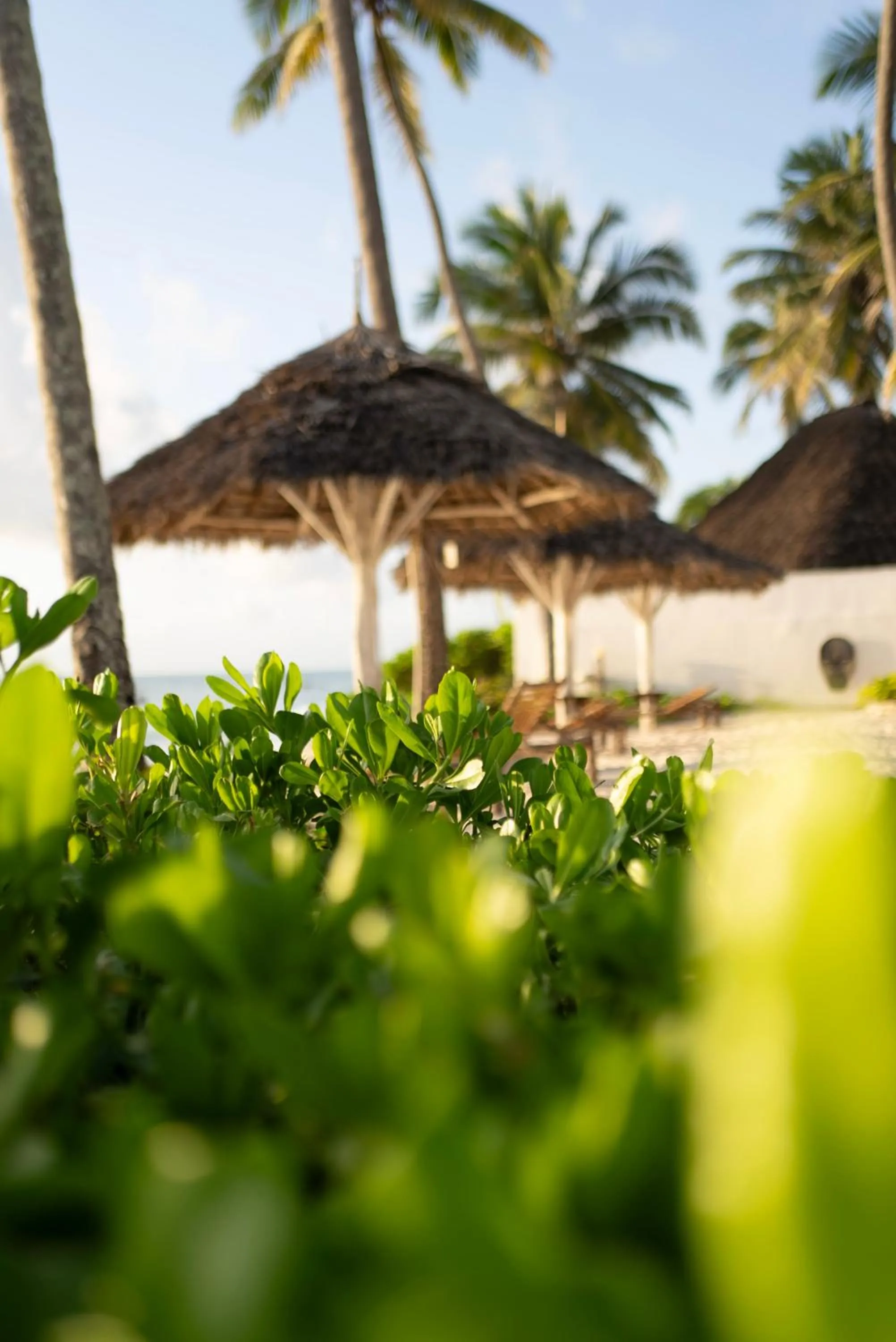 Day in Savera Beach Houses