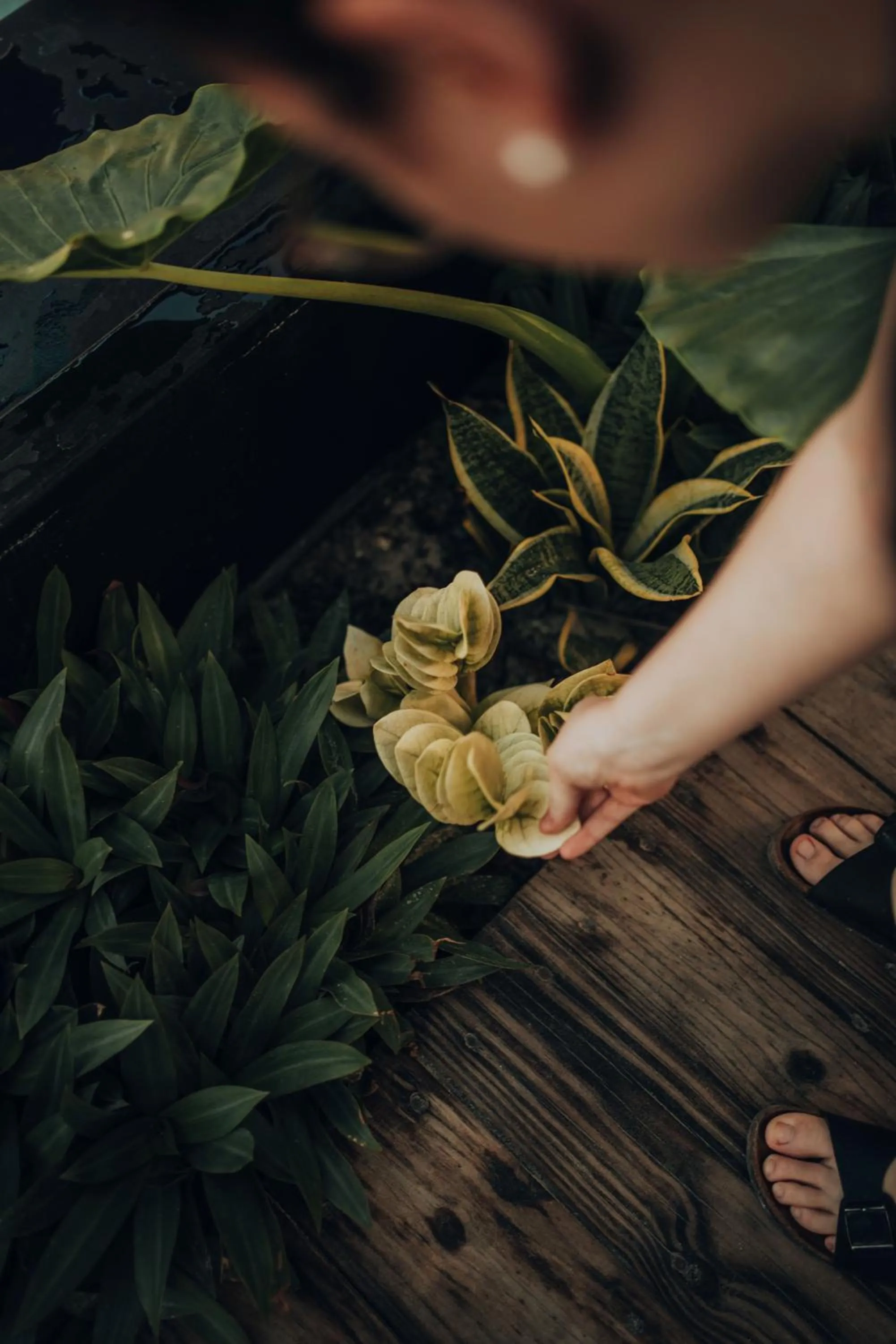 Property building in Savera Beach Houses