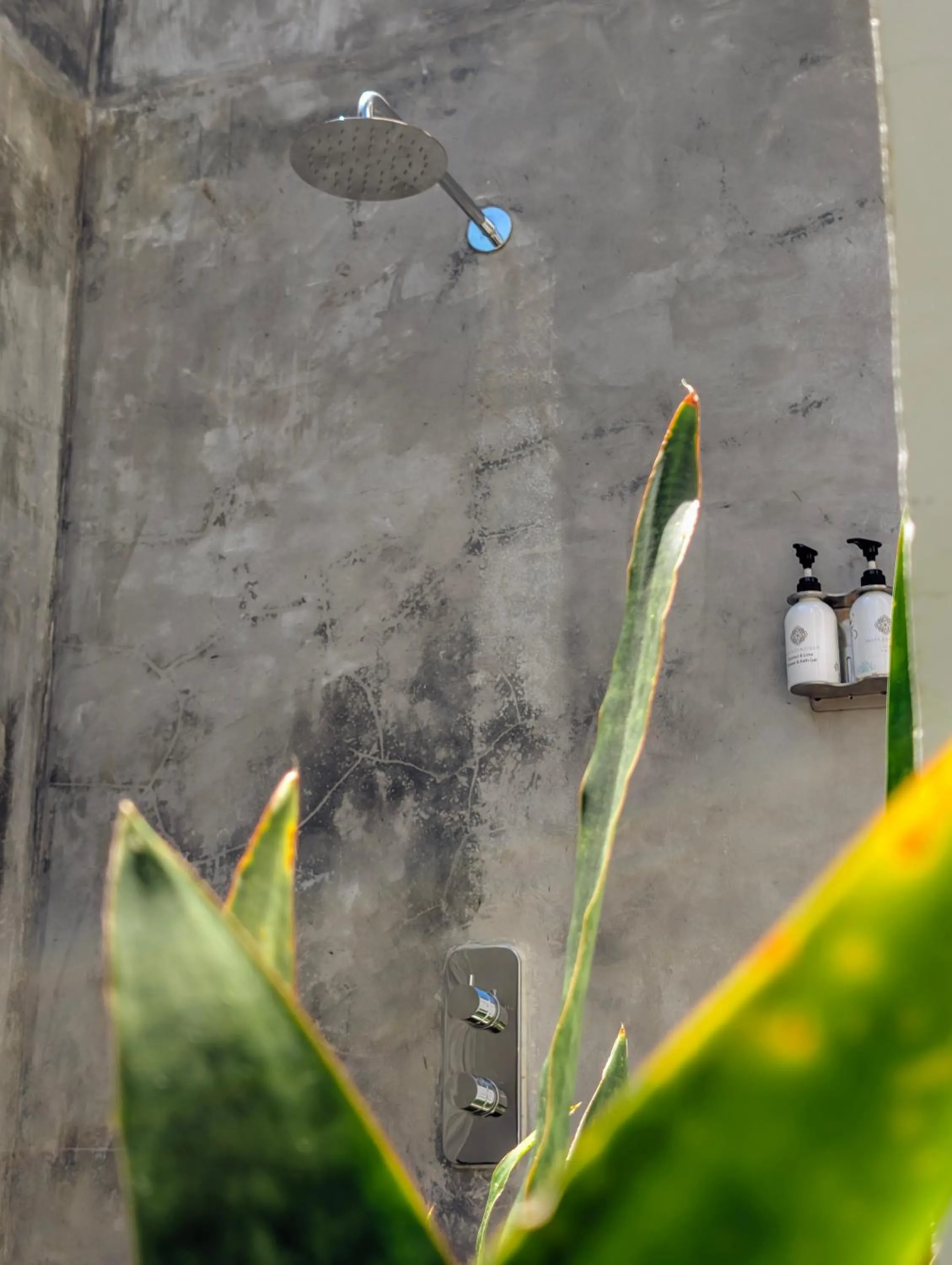 Garden in Savera Beach Houses