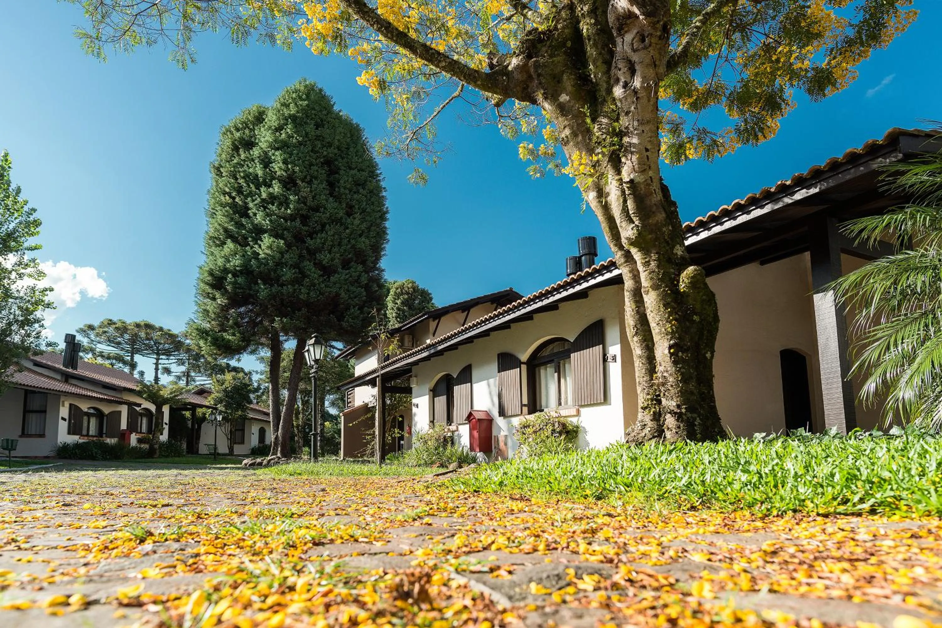 Patio in Vila Suzana Parque Hotel