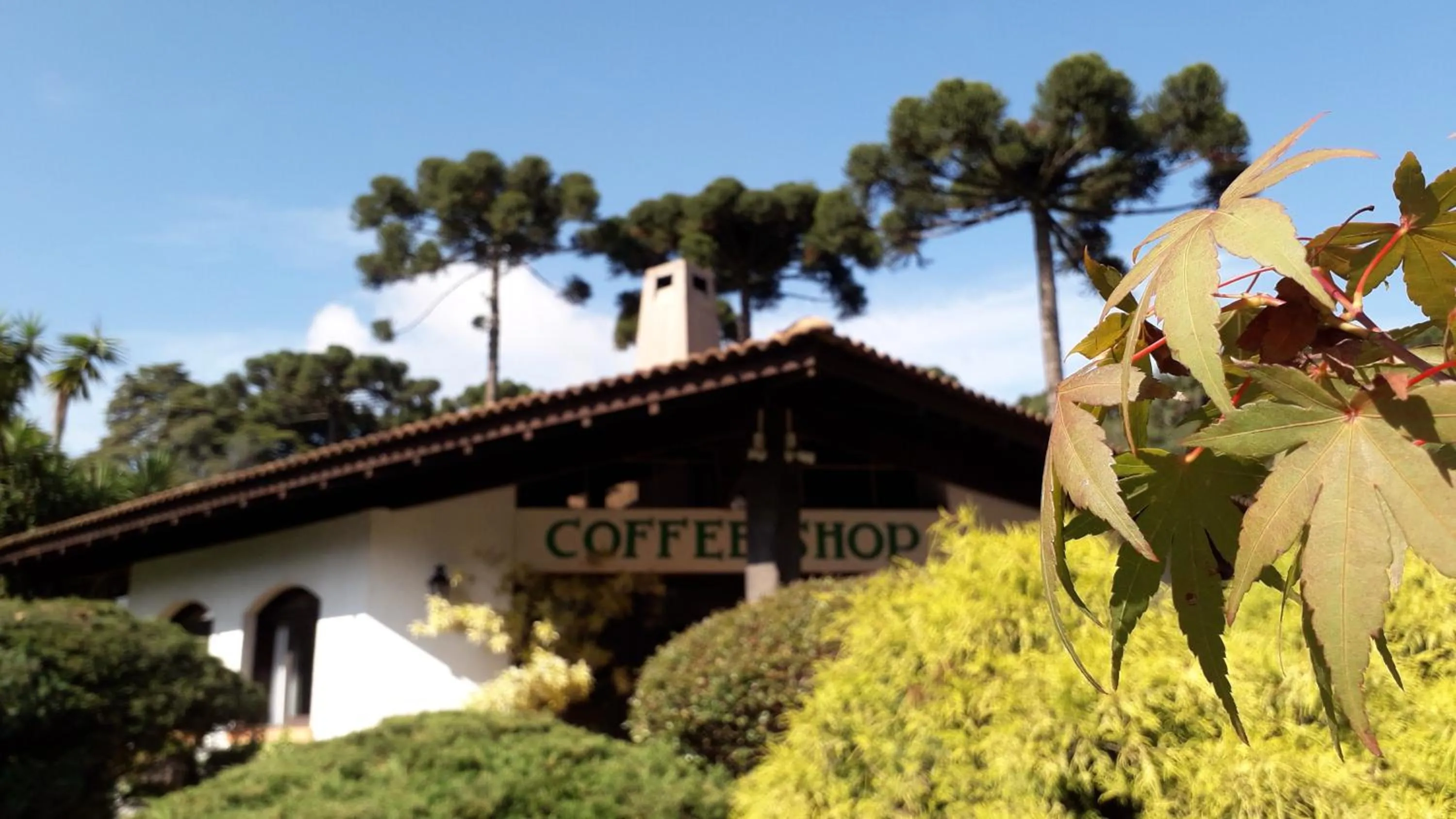 Breakfast in Vila Suzana Parque Hotel