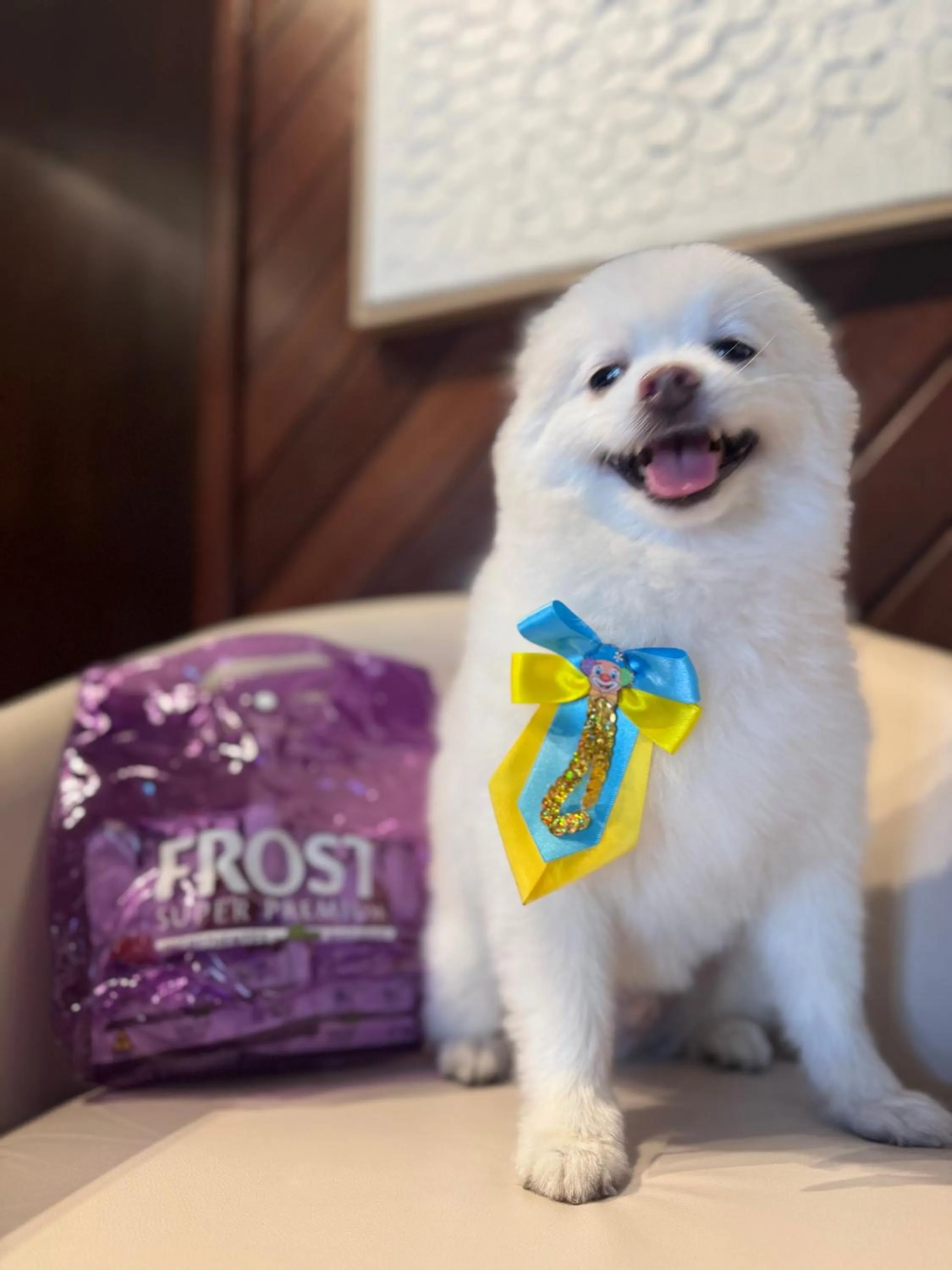 Pets in Vila Suzana Parque Hotel