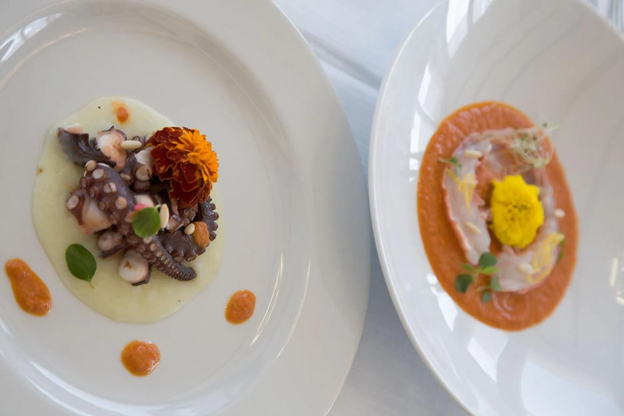 Lunch in Il Conero Mare