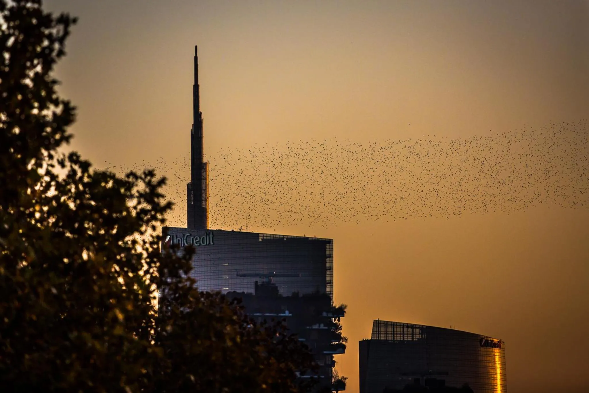 City view in B&B Zara