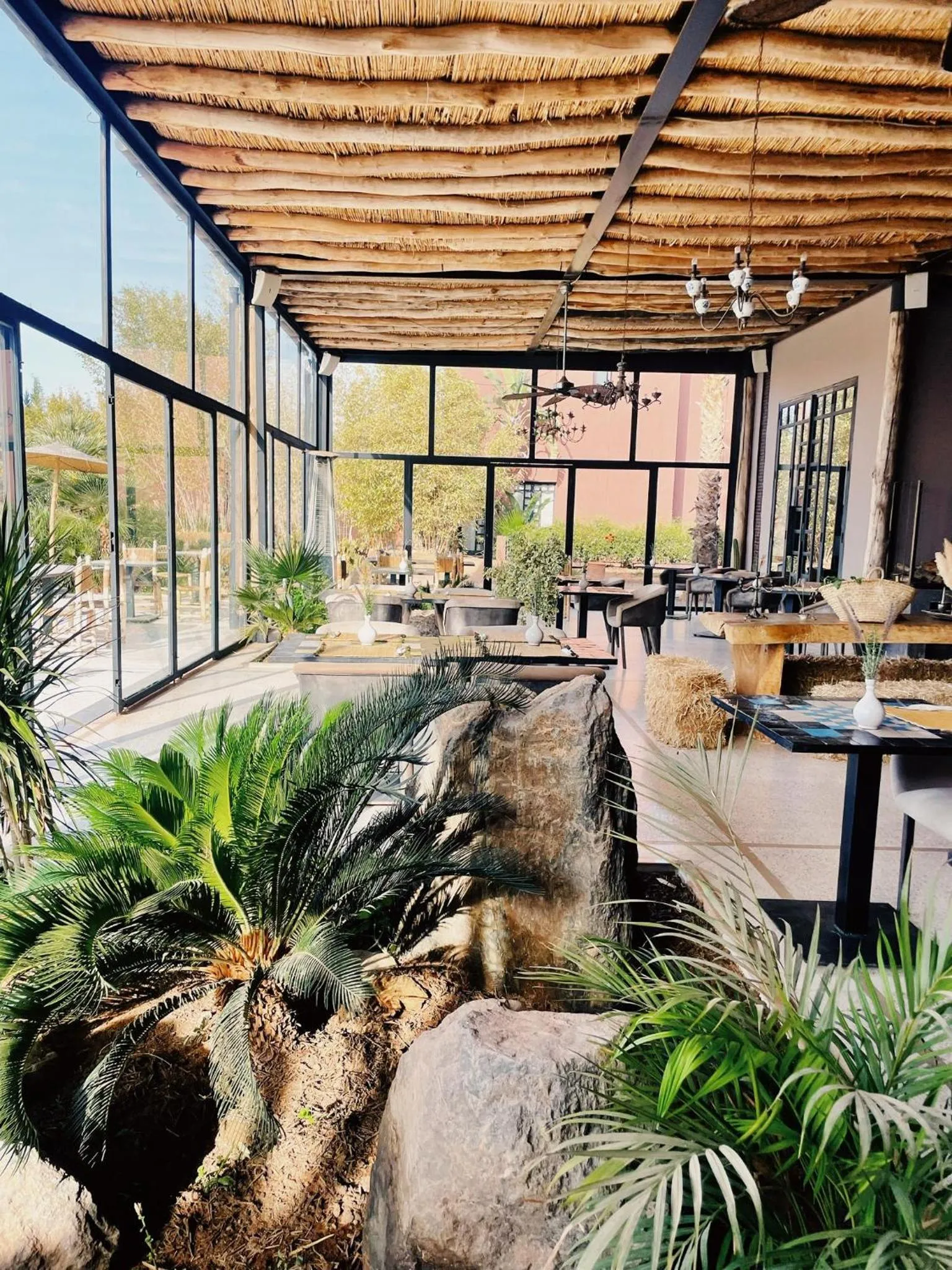 Restaurant/places to eat in Fellah Hotel