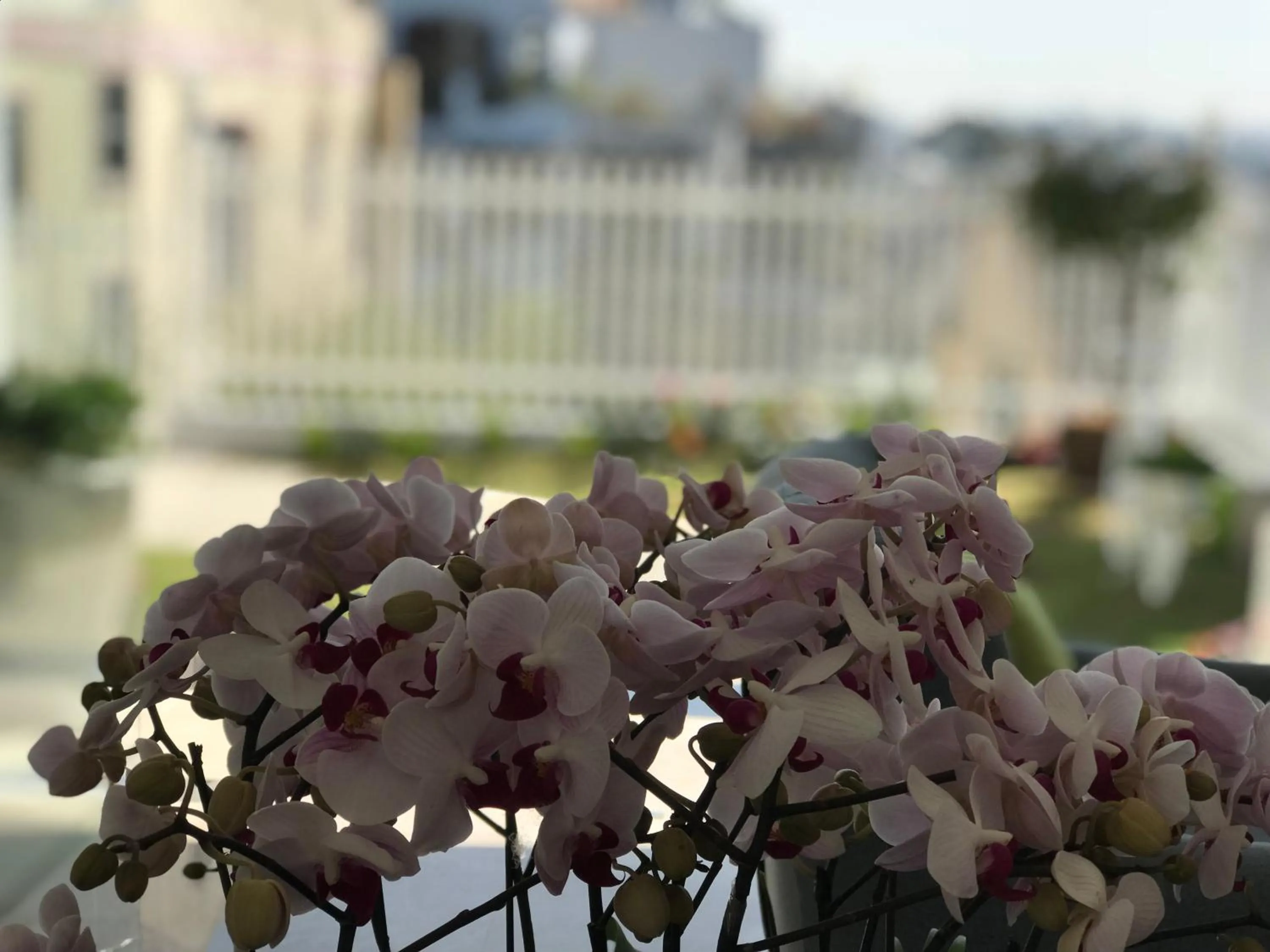 Property building in Dalat Memory Inn